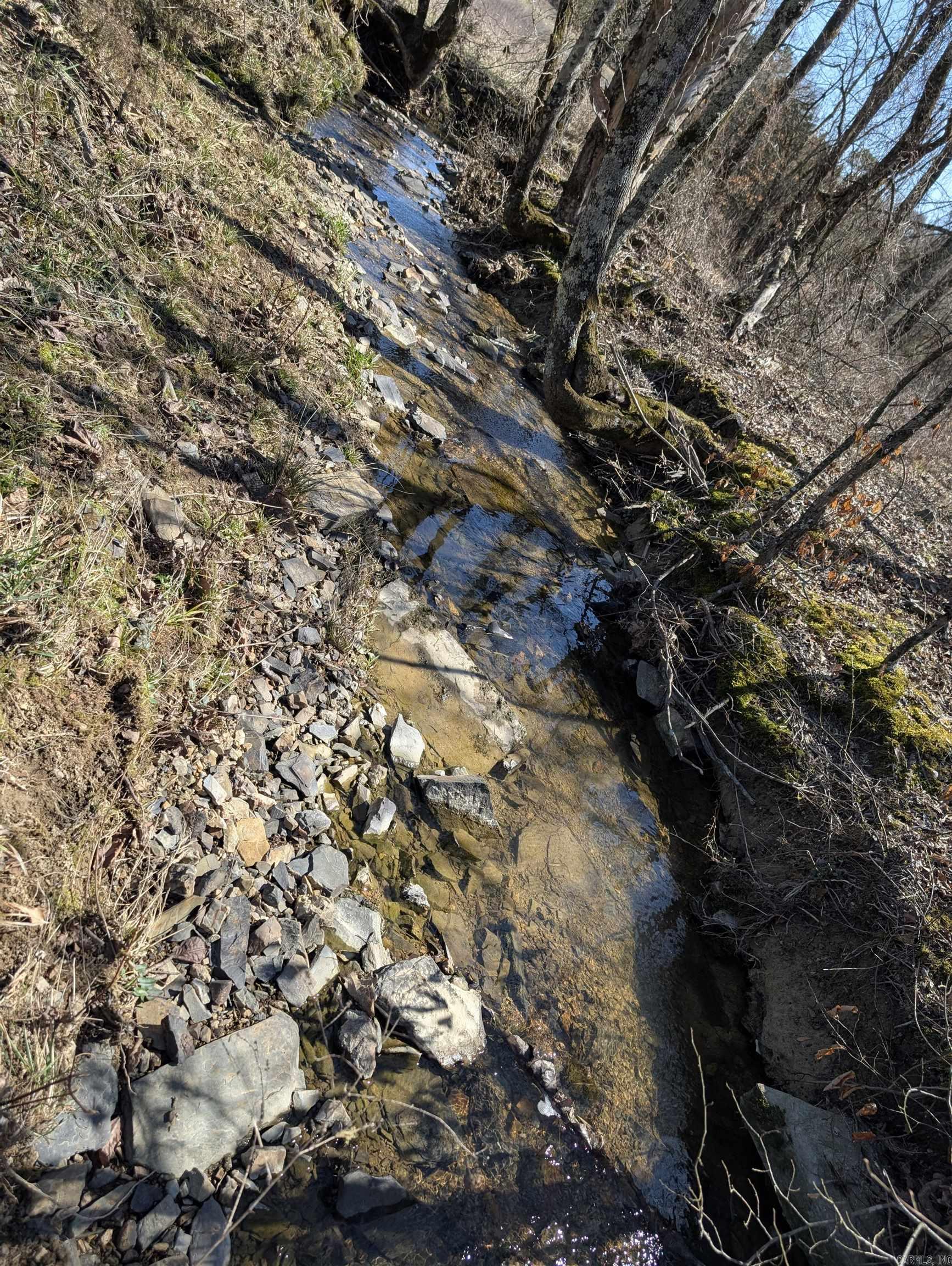 Unk  Polk Road 62  Mena, AR