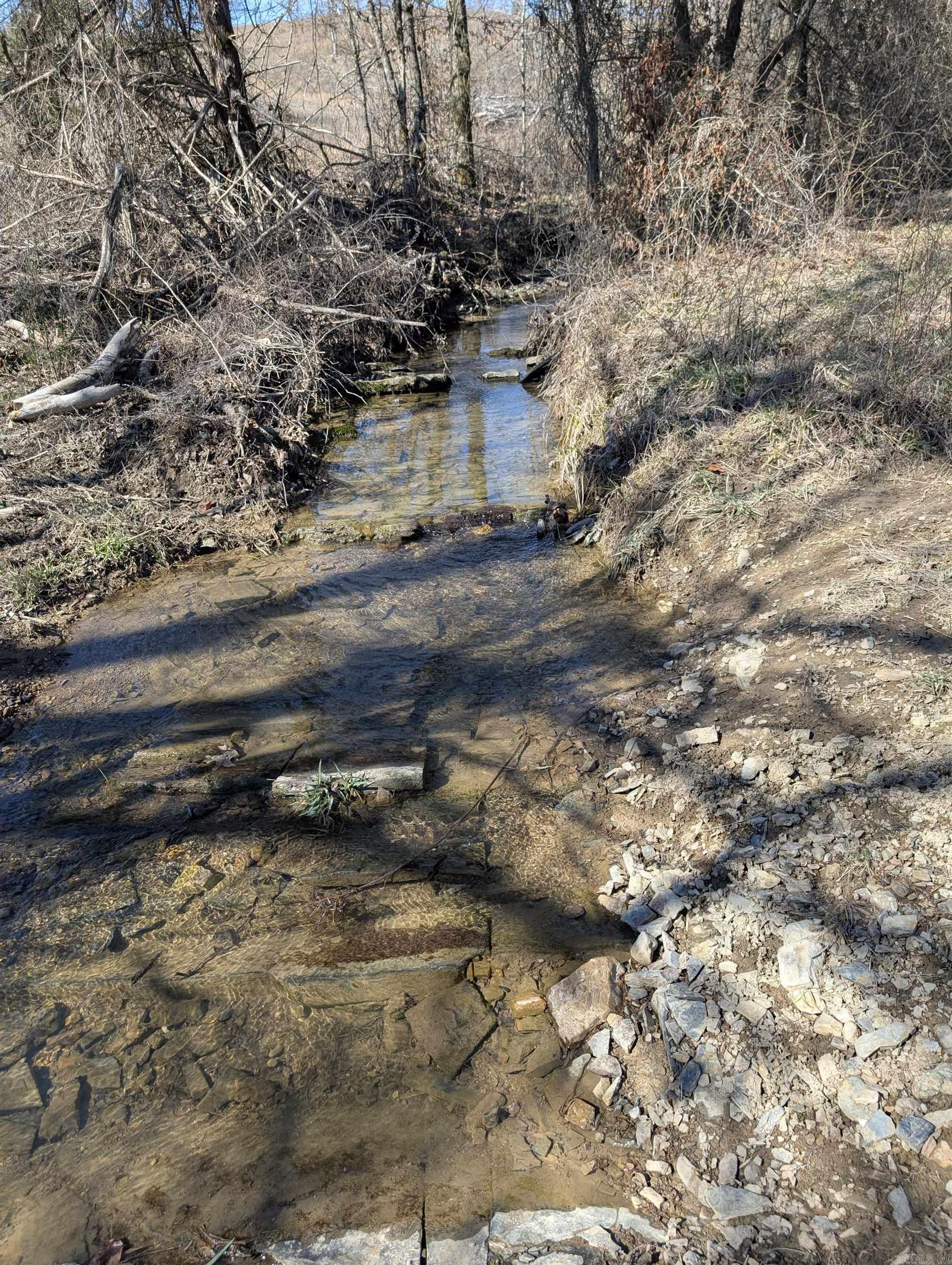Unk  Polk Road 62  Mena, AR