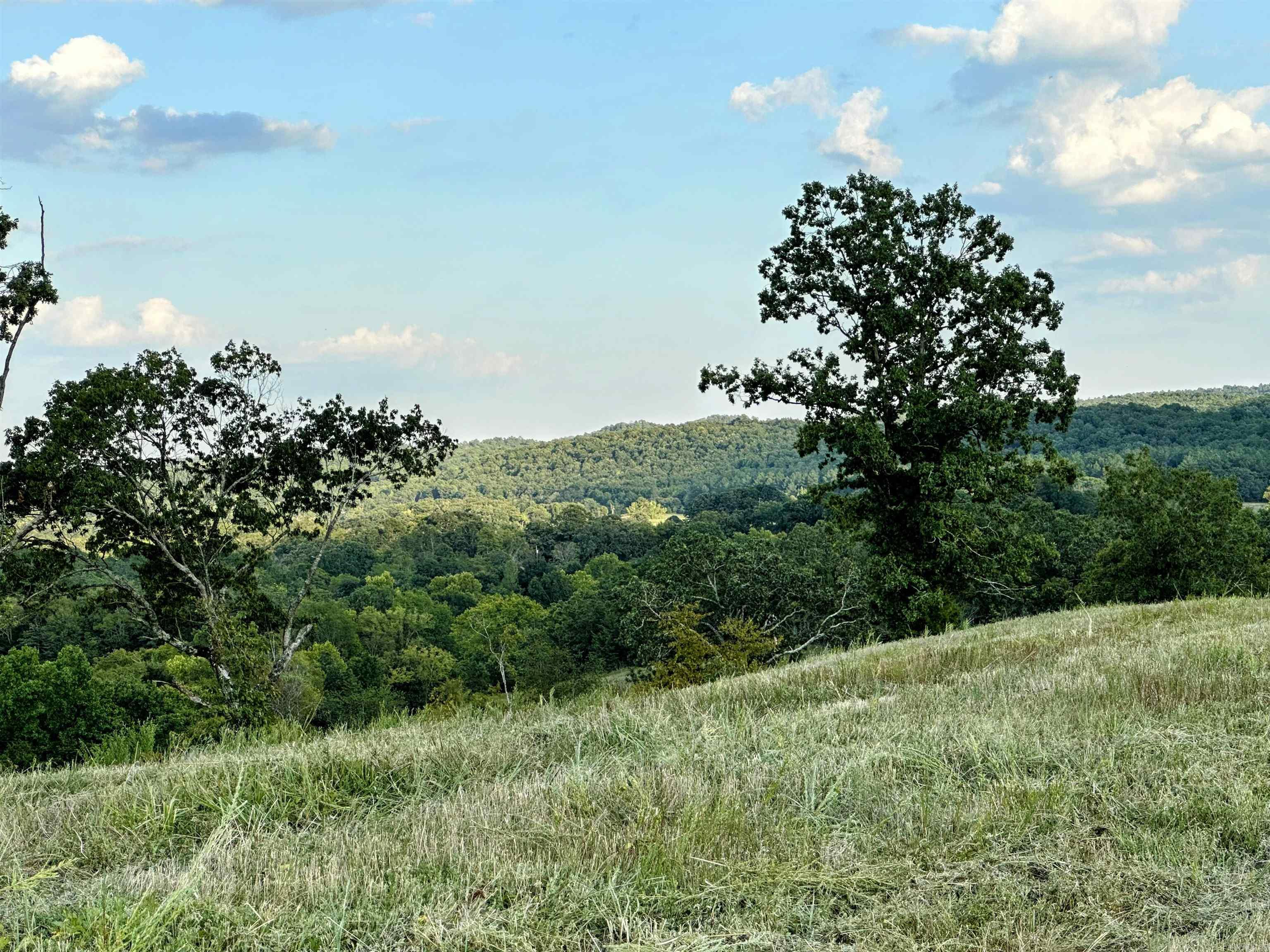 Unk Polk Road 62  Mena, AR