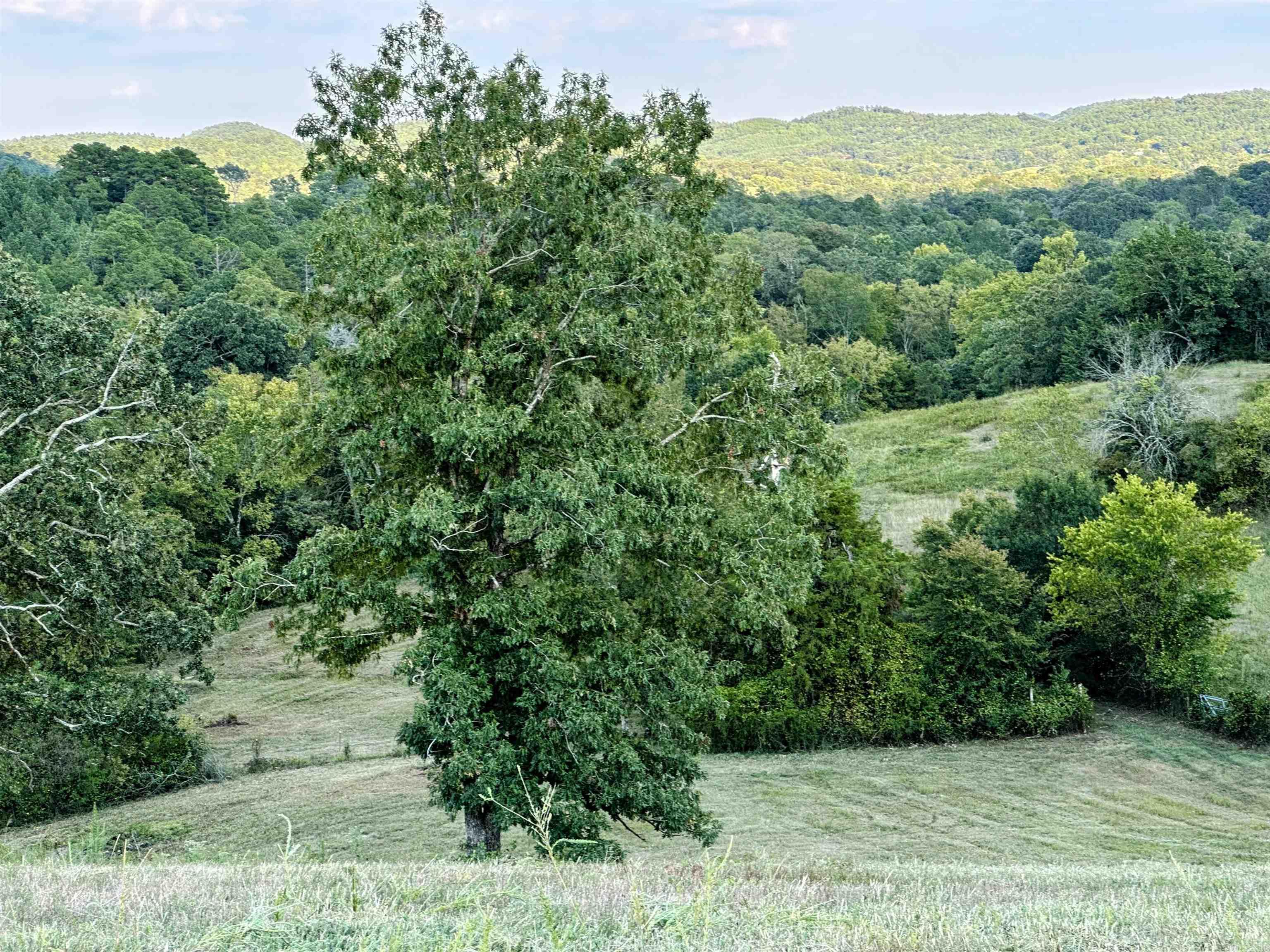 Unk Polk Road 62  Mena, AR