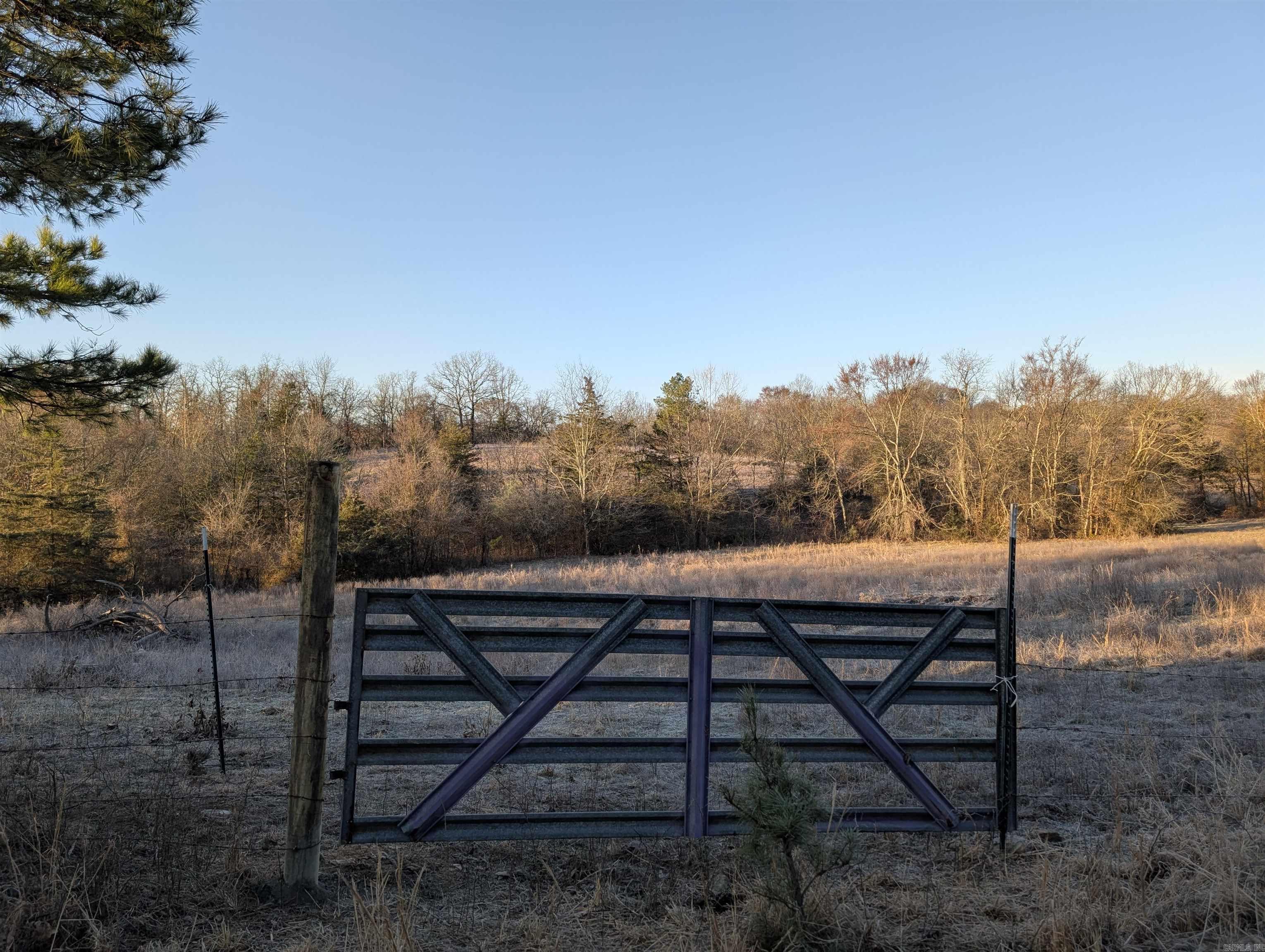 Unk  Polk Road 62  Mena, AR