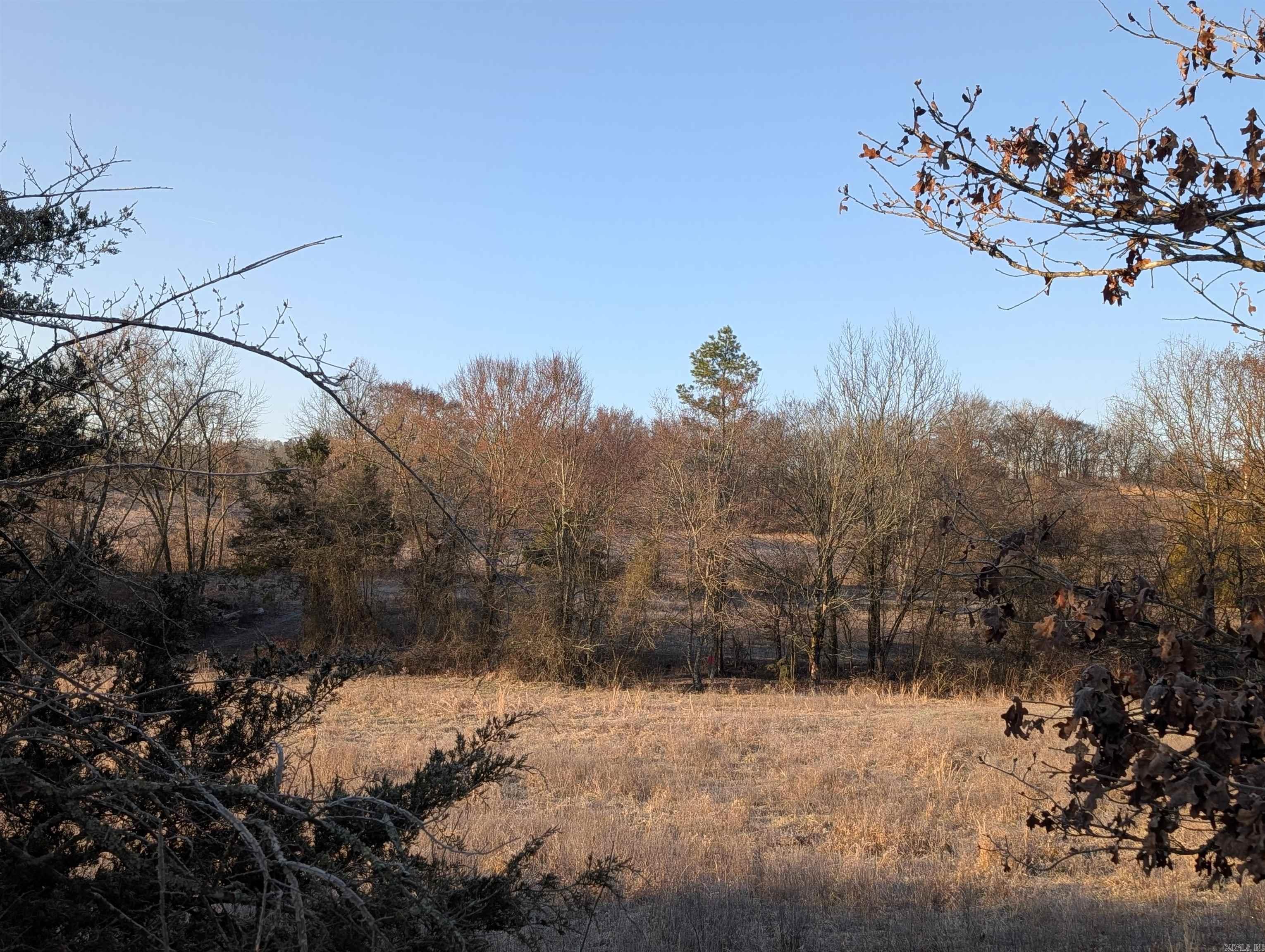 Unk  Polk Road 62  Mena, AR