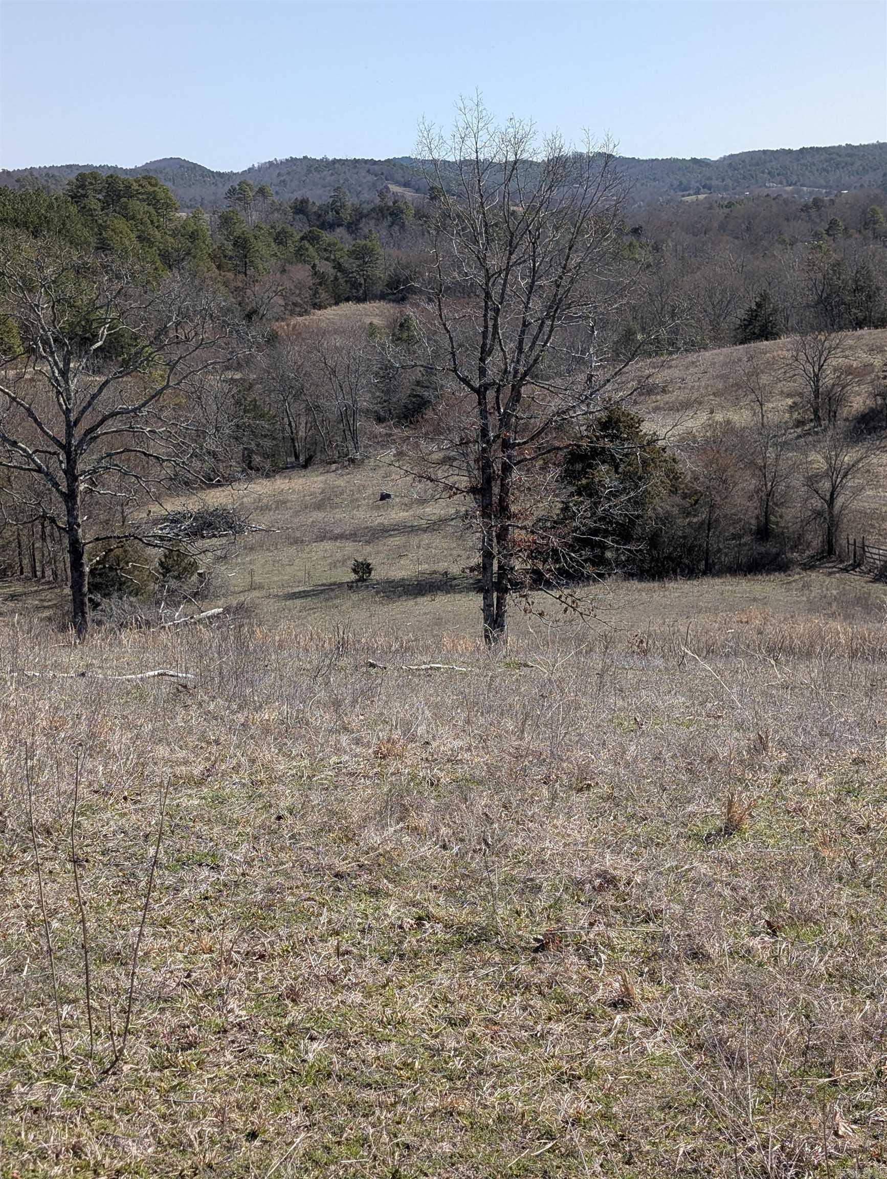 Unk  Polk Road 62  Mena, AR