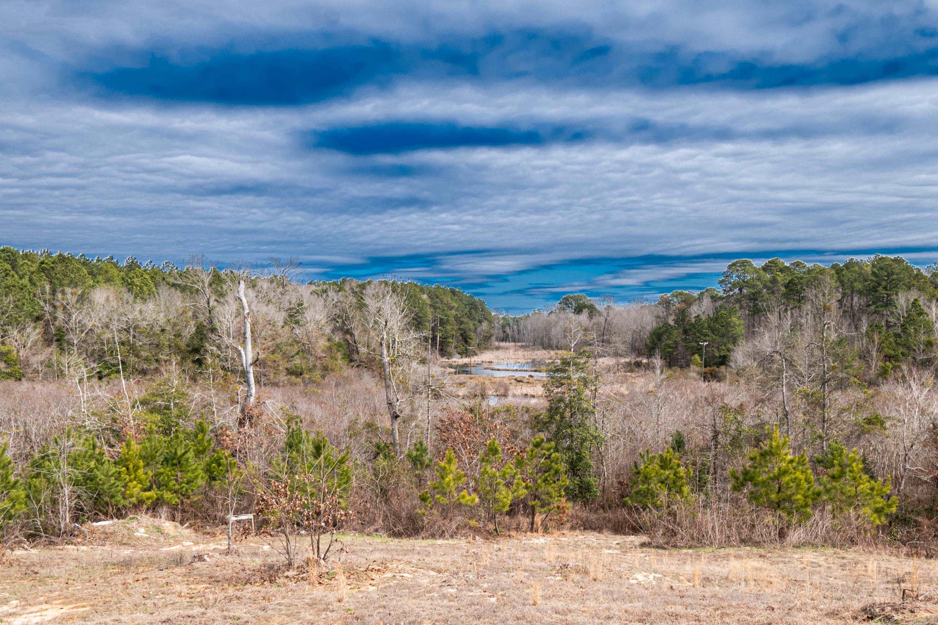 5838  Grayce Lane  El Dorado, AR