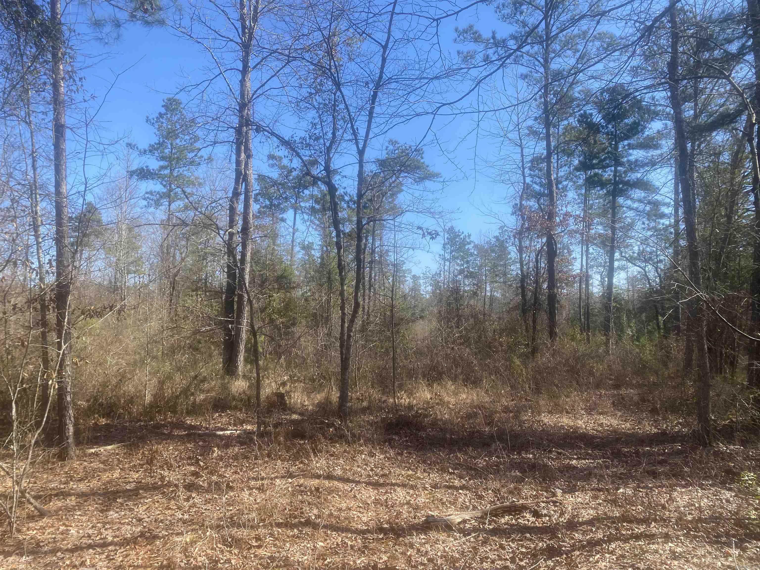 000  Grant 190009  White Hall, AR