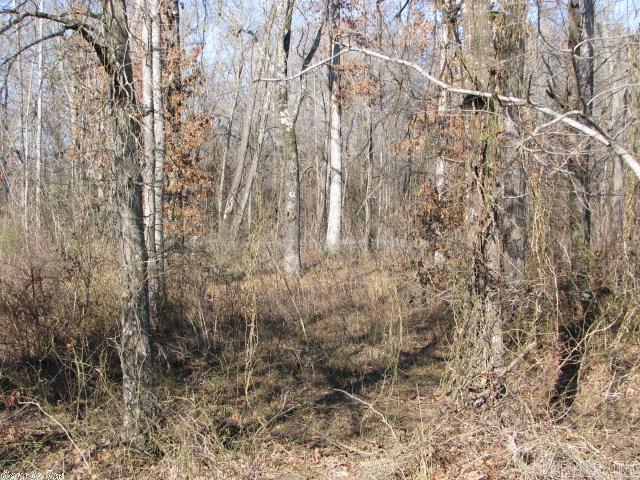 00  Horn  Cabot, AR