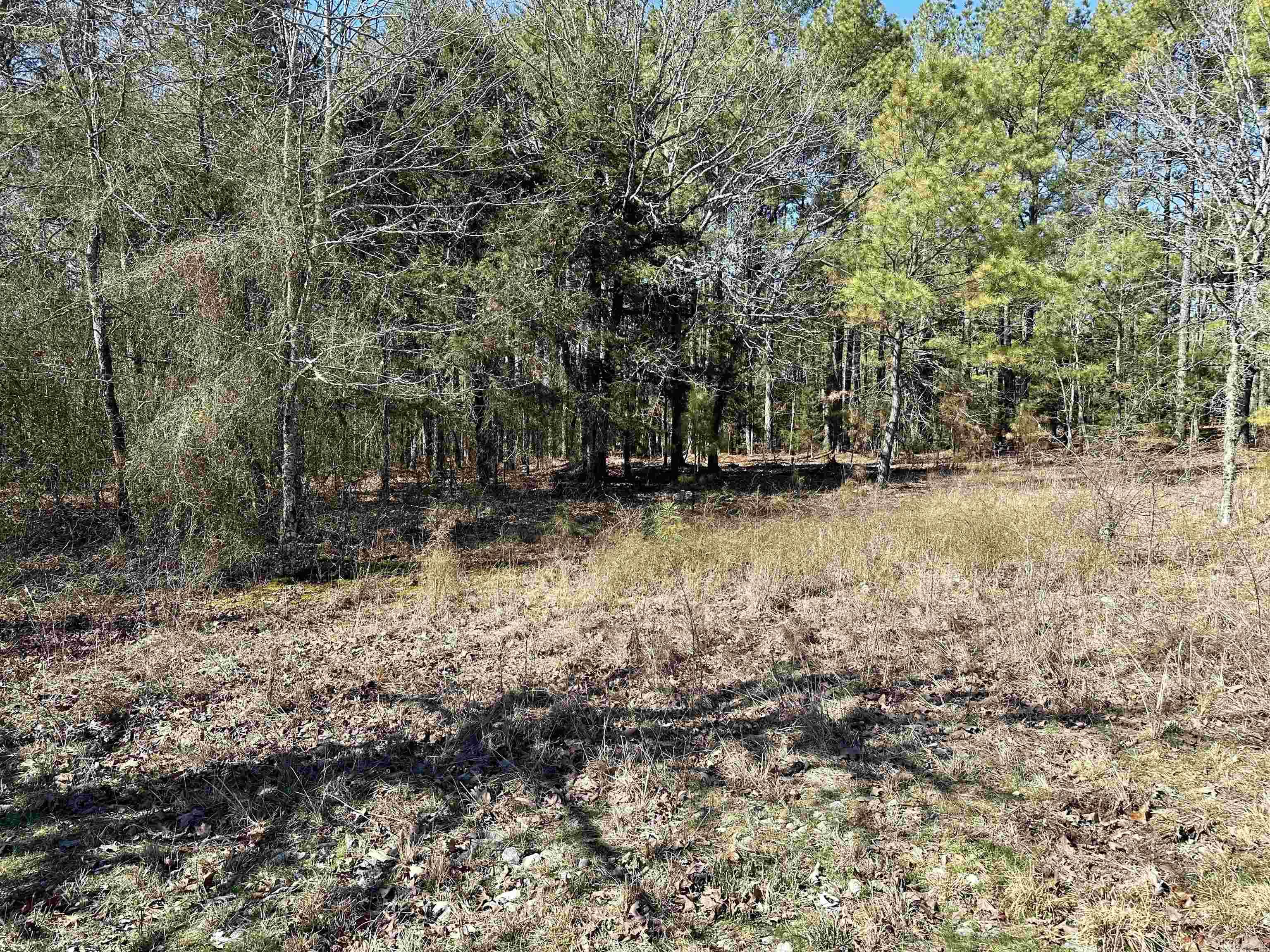 4  Manzanares  Hot Springs Village, AR