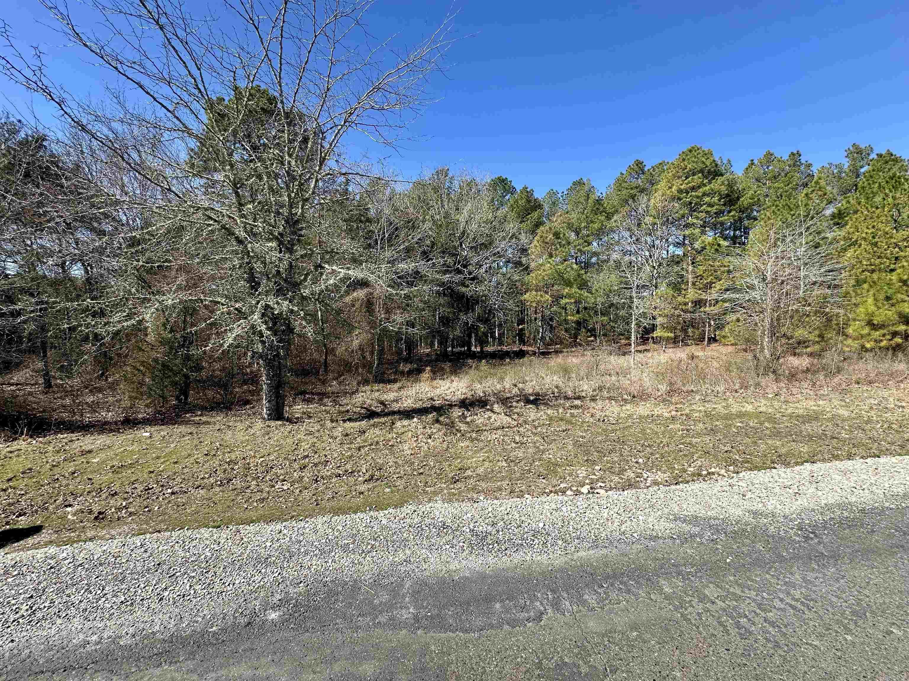 4  Manzanares  Hot Springs Village, AR