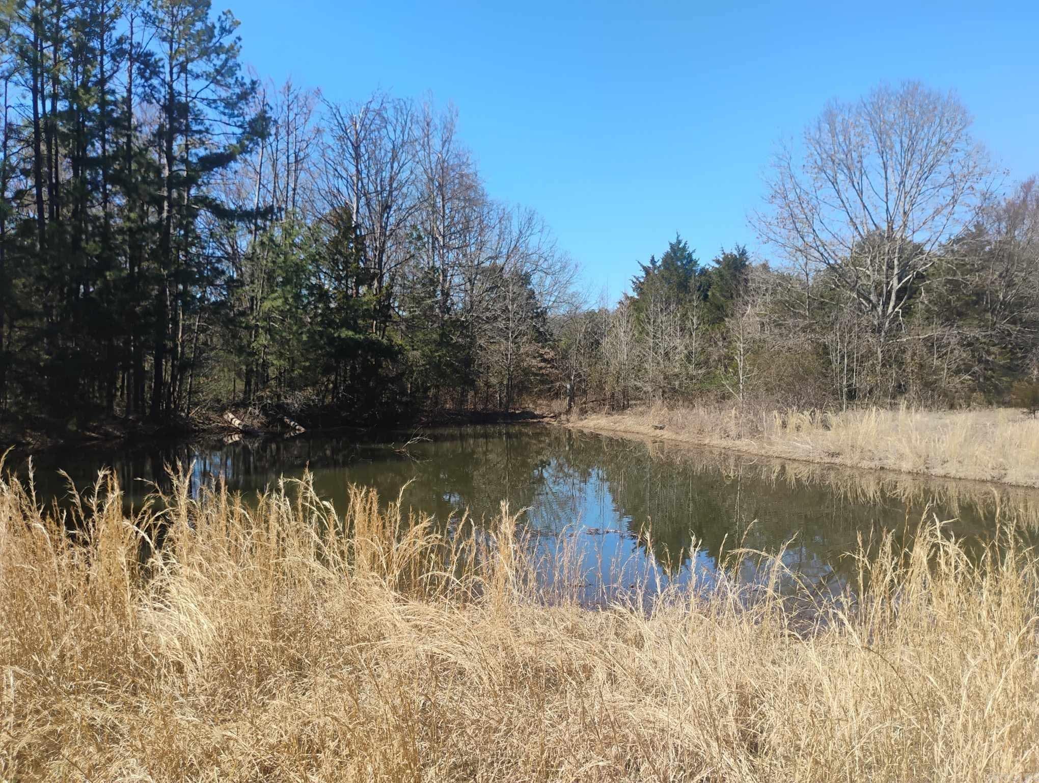 10  Leonard Loop  Damascus, AR