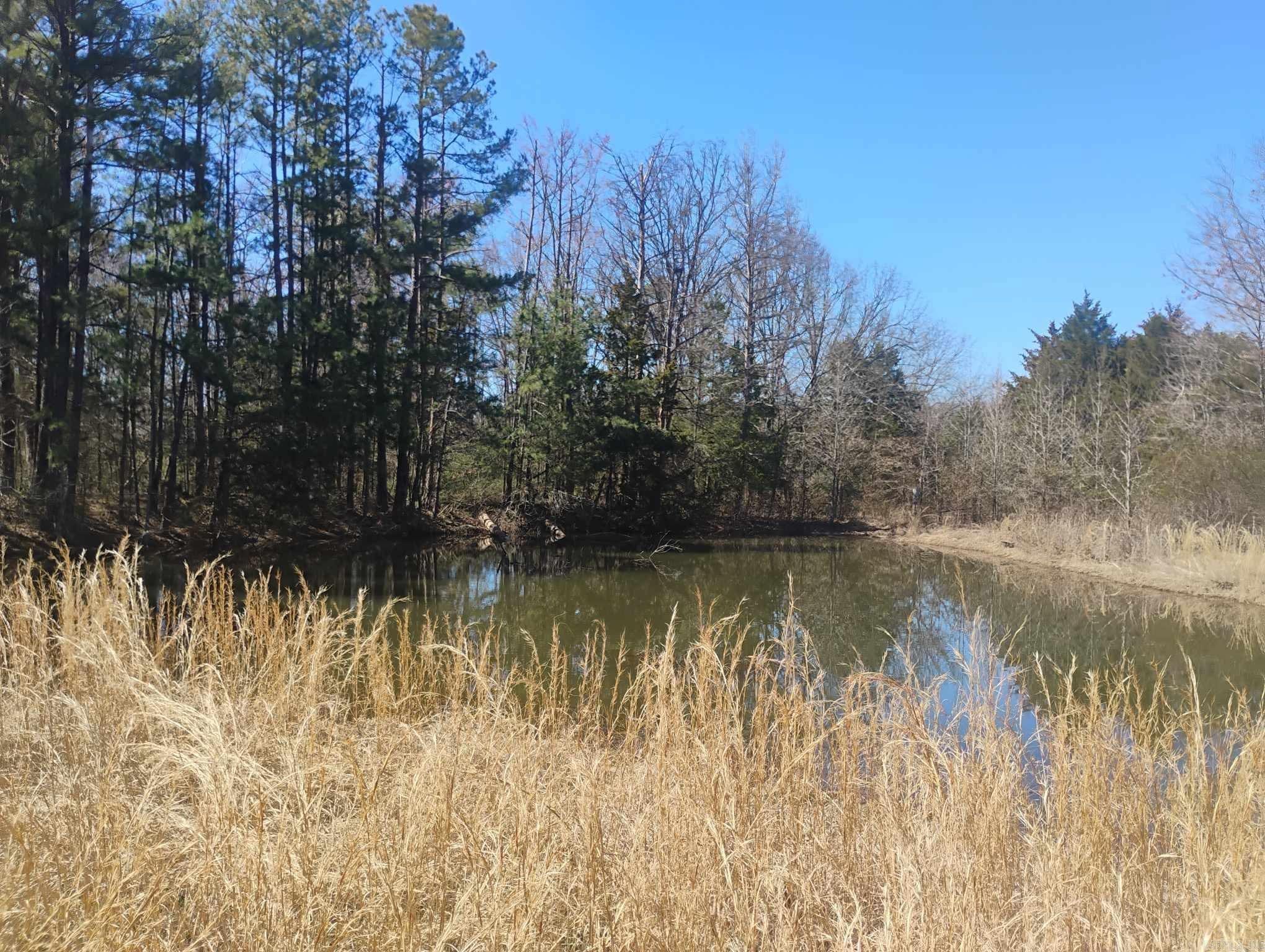10  Leonard Loop  Damascus, AR