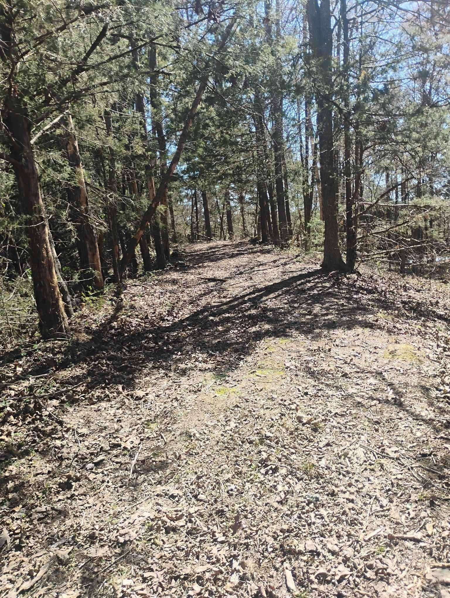 10  Leonard Loop  Damascus, AR