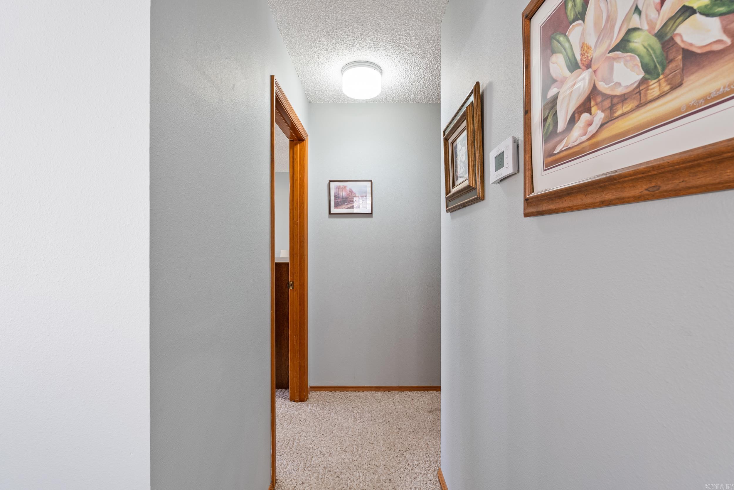 26  Tomisa Lane  Hot Springs Village, AR