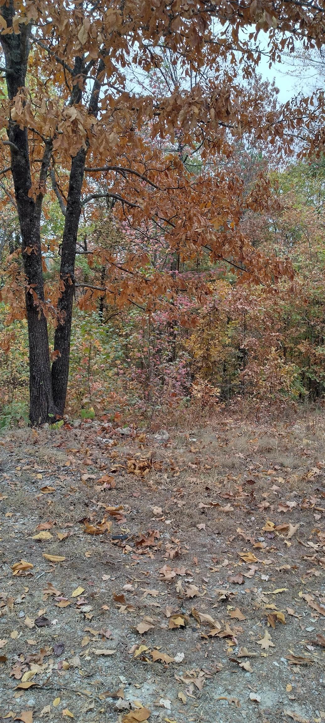 255  Marla Marie Trail  Hot Springs, AR