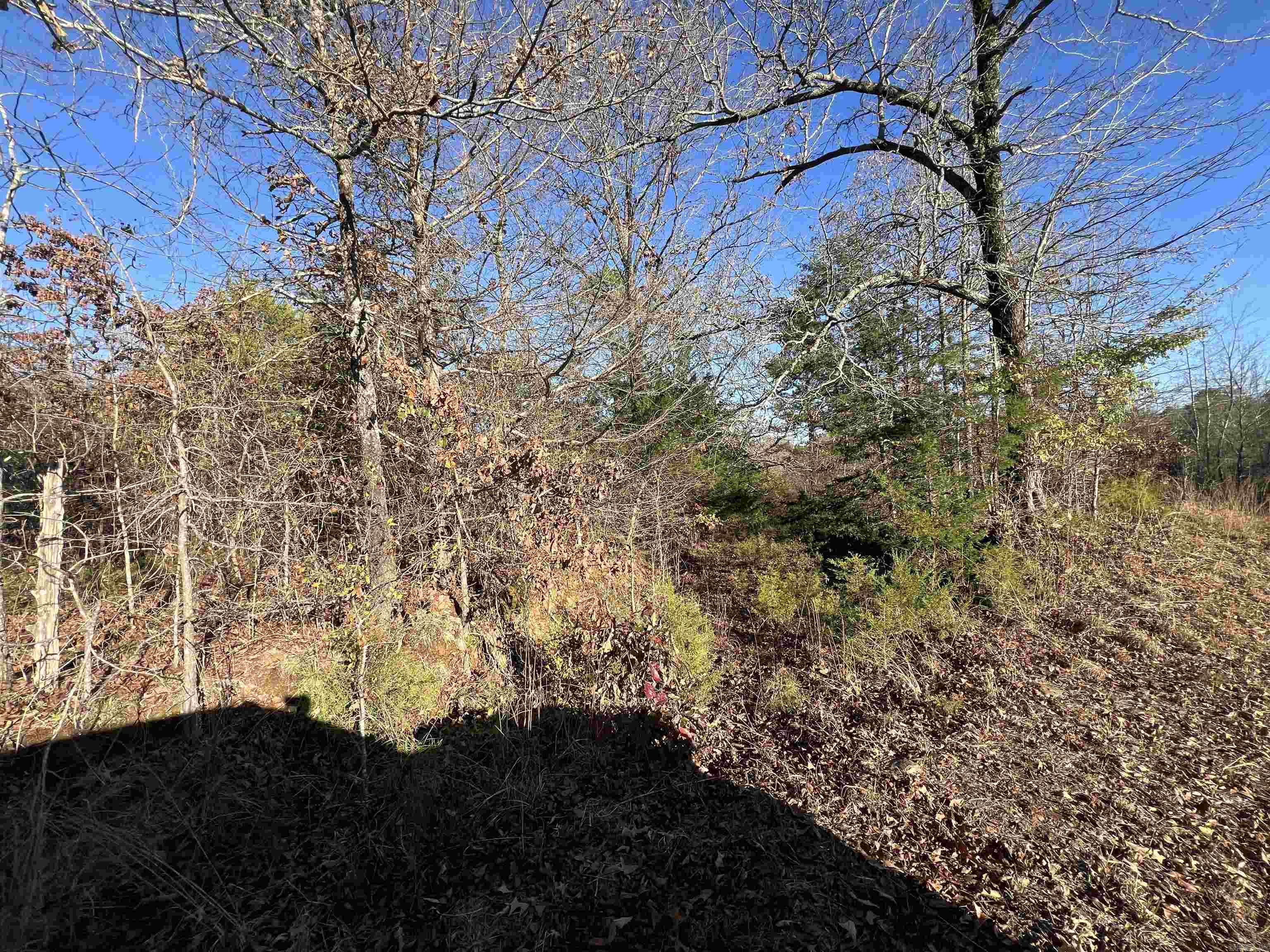 990 - B  Mahan  Center Ridge, AR