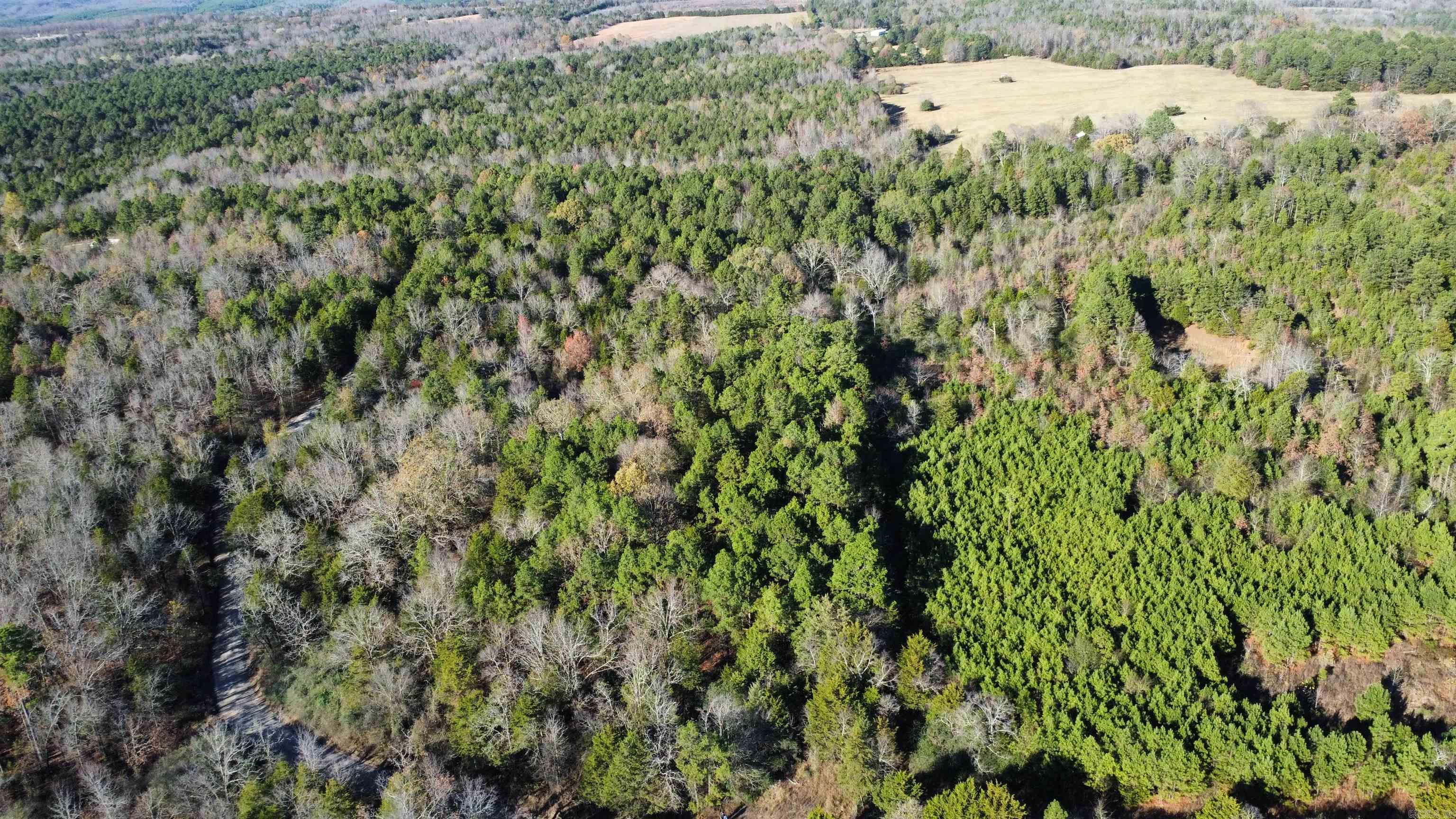 990 - B  Mahan  Center Ridge, AR