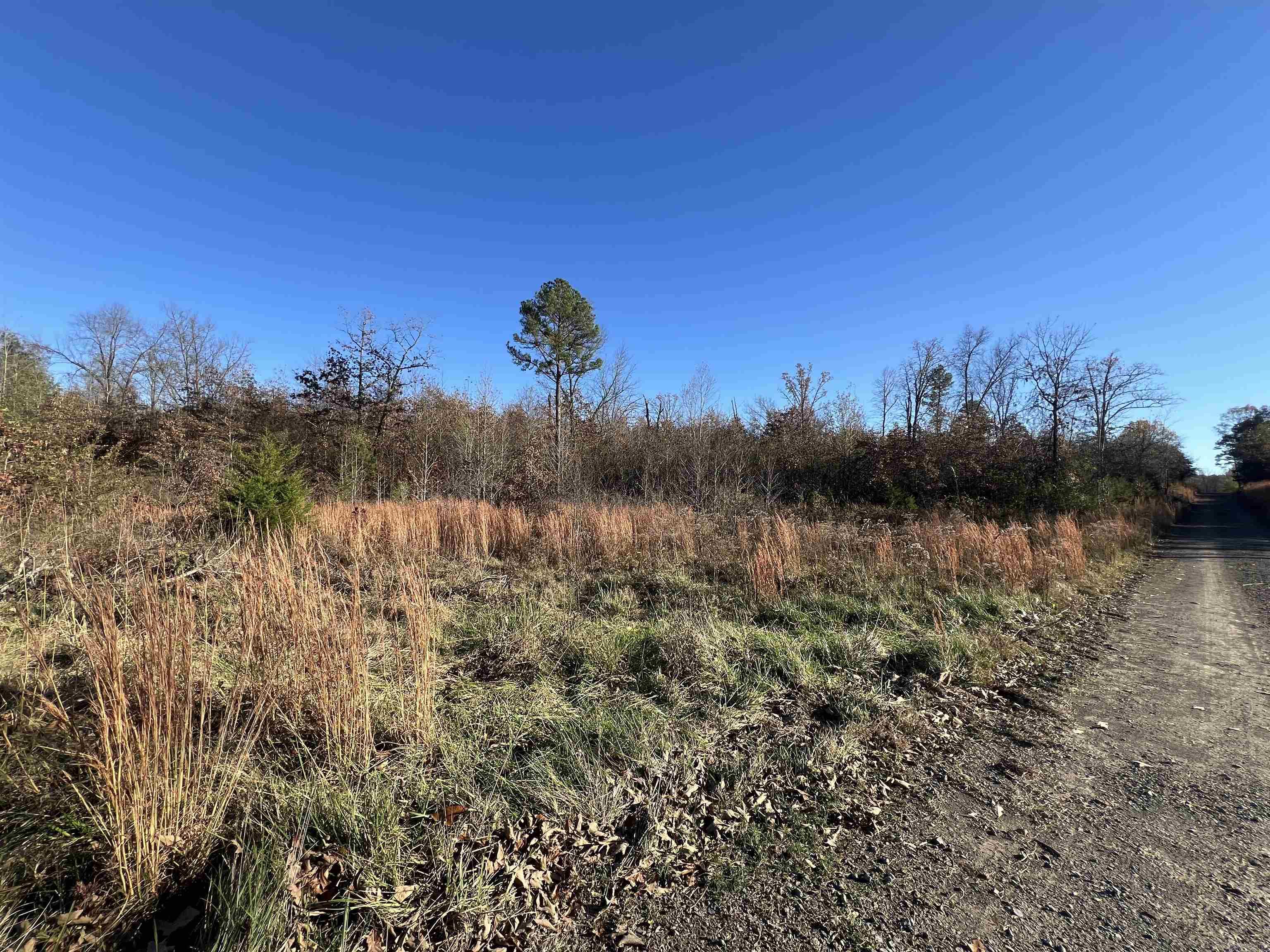 990 - A  Mahan  Center Ridge, AR