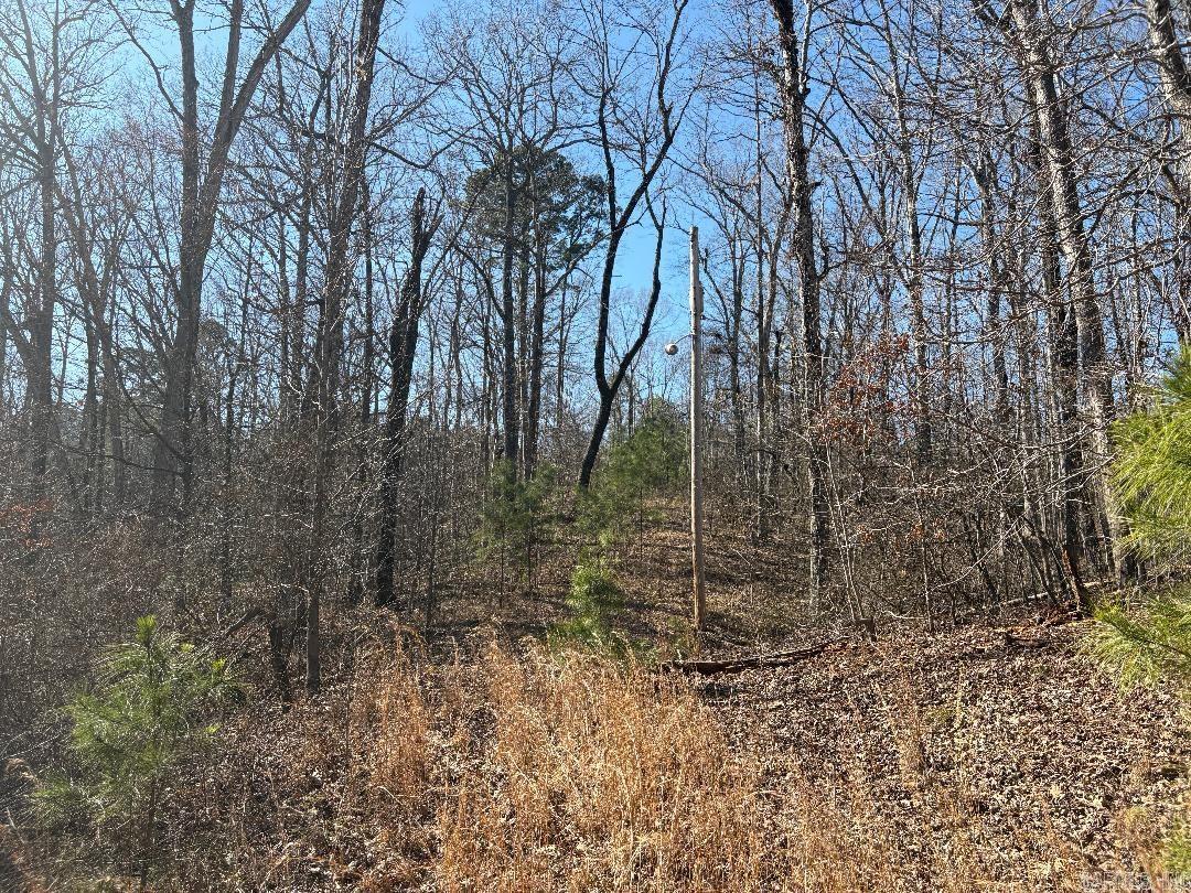 1108  Beaver Trail  Redfield, AR