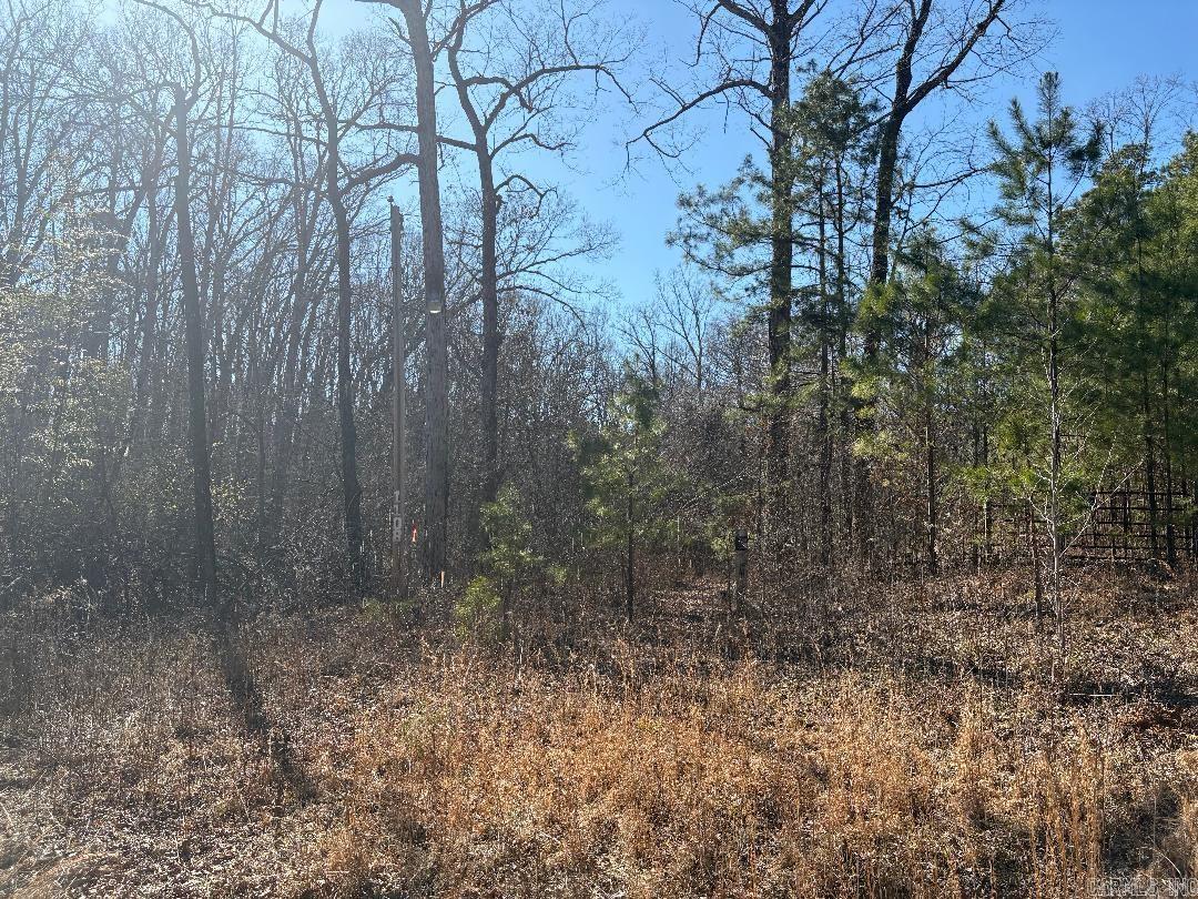 1108  Beaver Trail  Redfield, AR