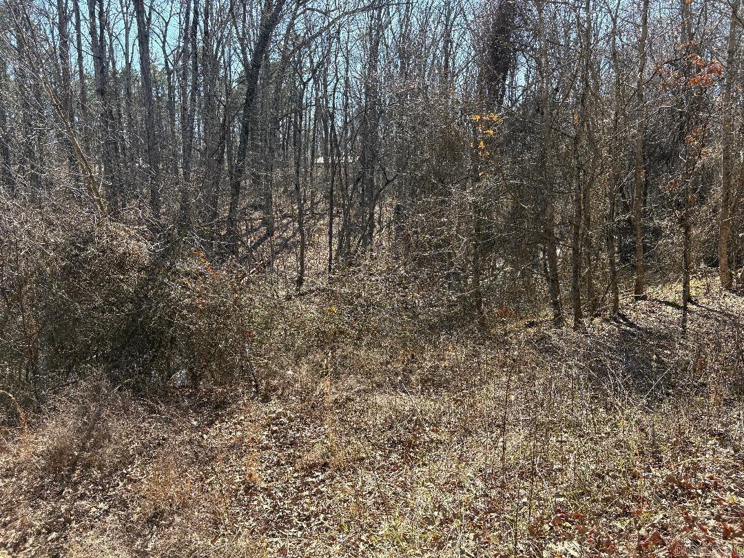 1108  Beaver Trail  Redfield, AR