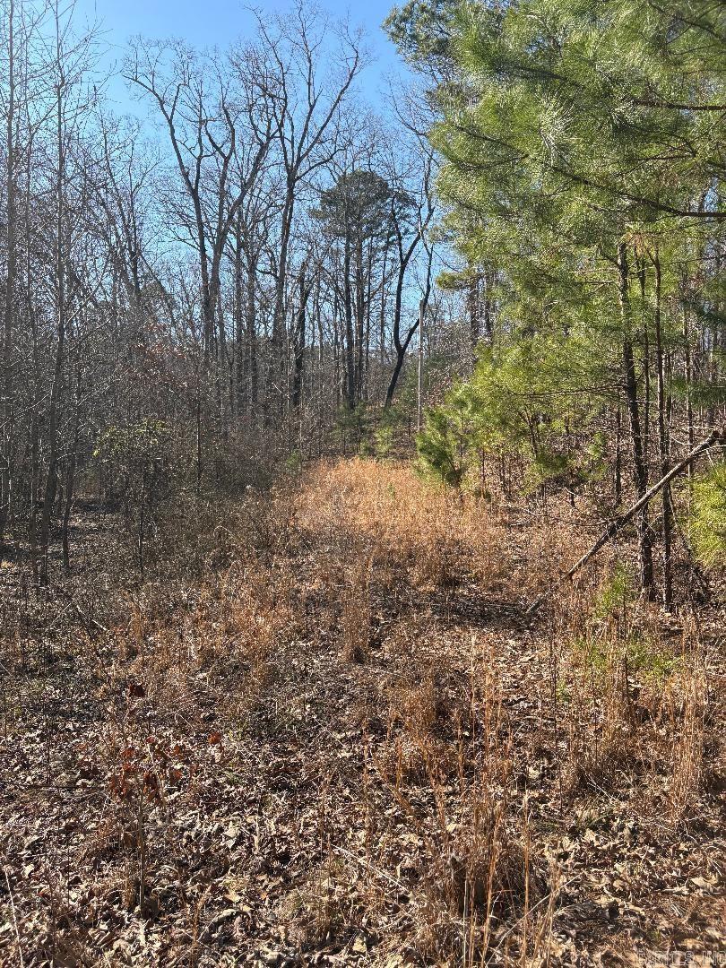 1108  Beaver Trail  Redfield, AR