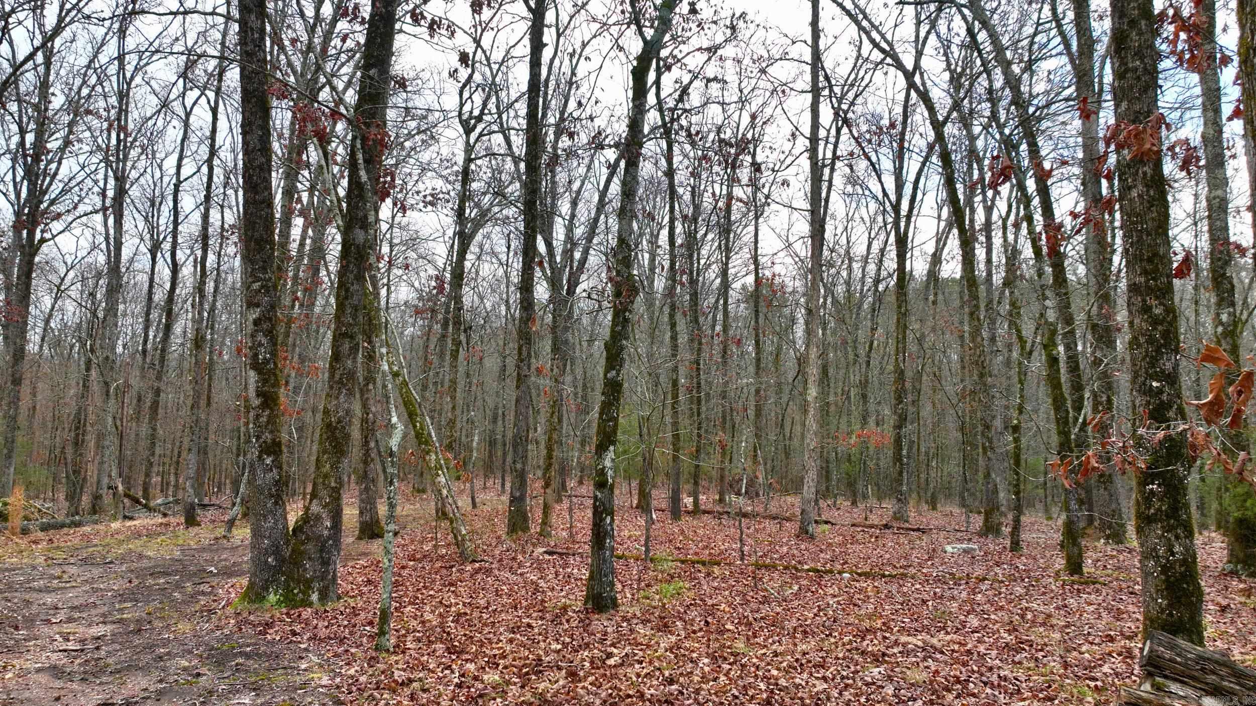 264  Meeks  Hot Springs, AR