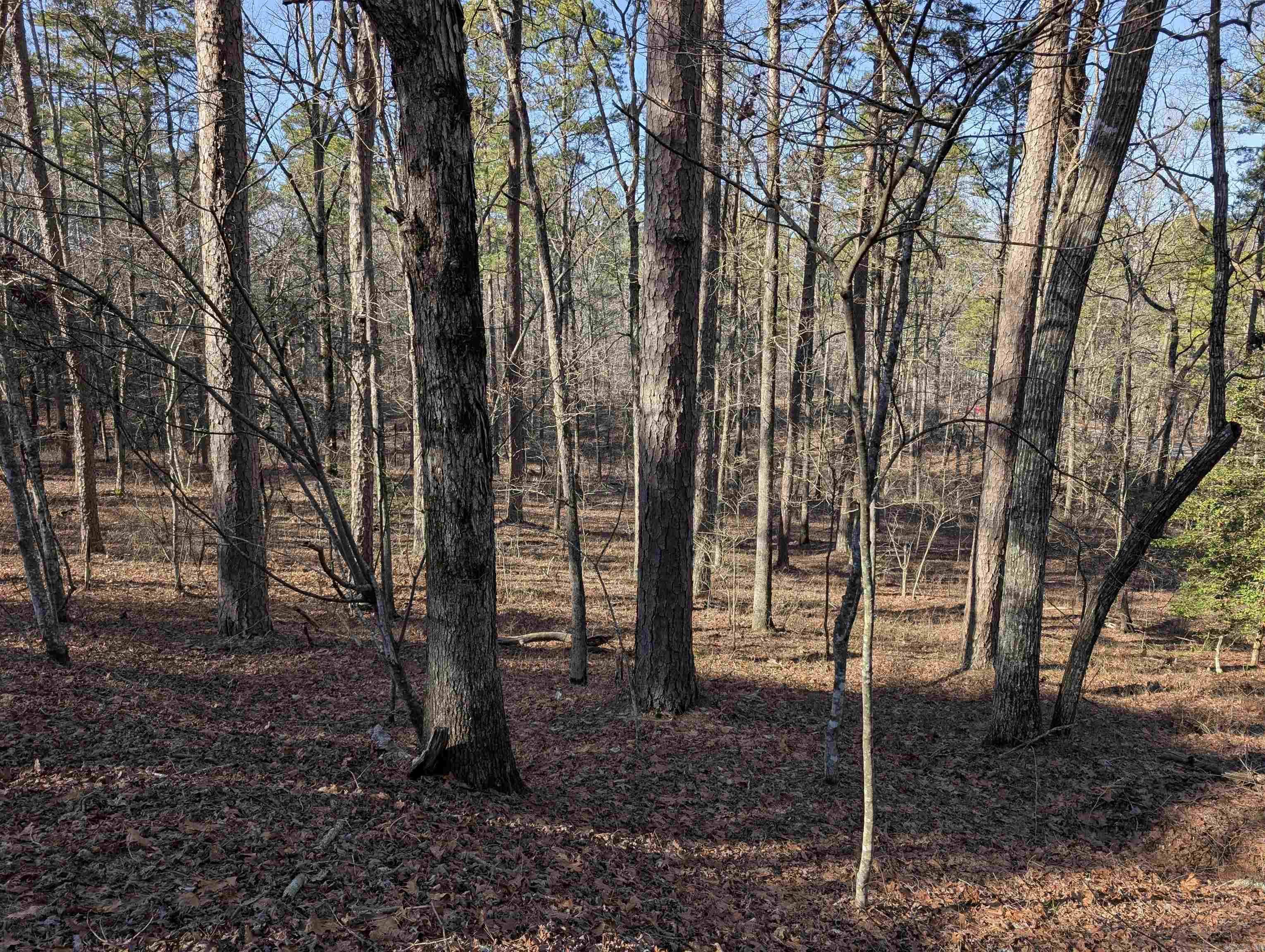 30  Montijo  Hot Springs Village, AR