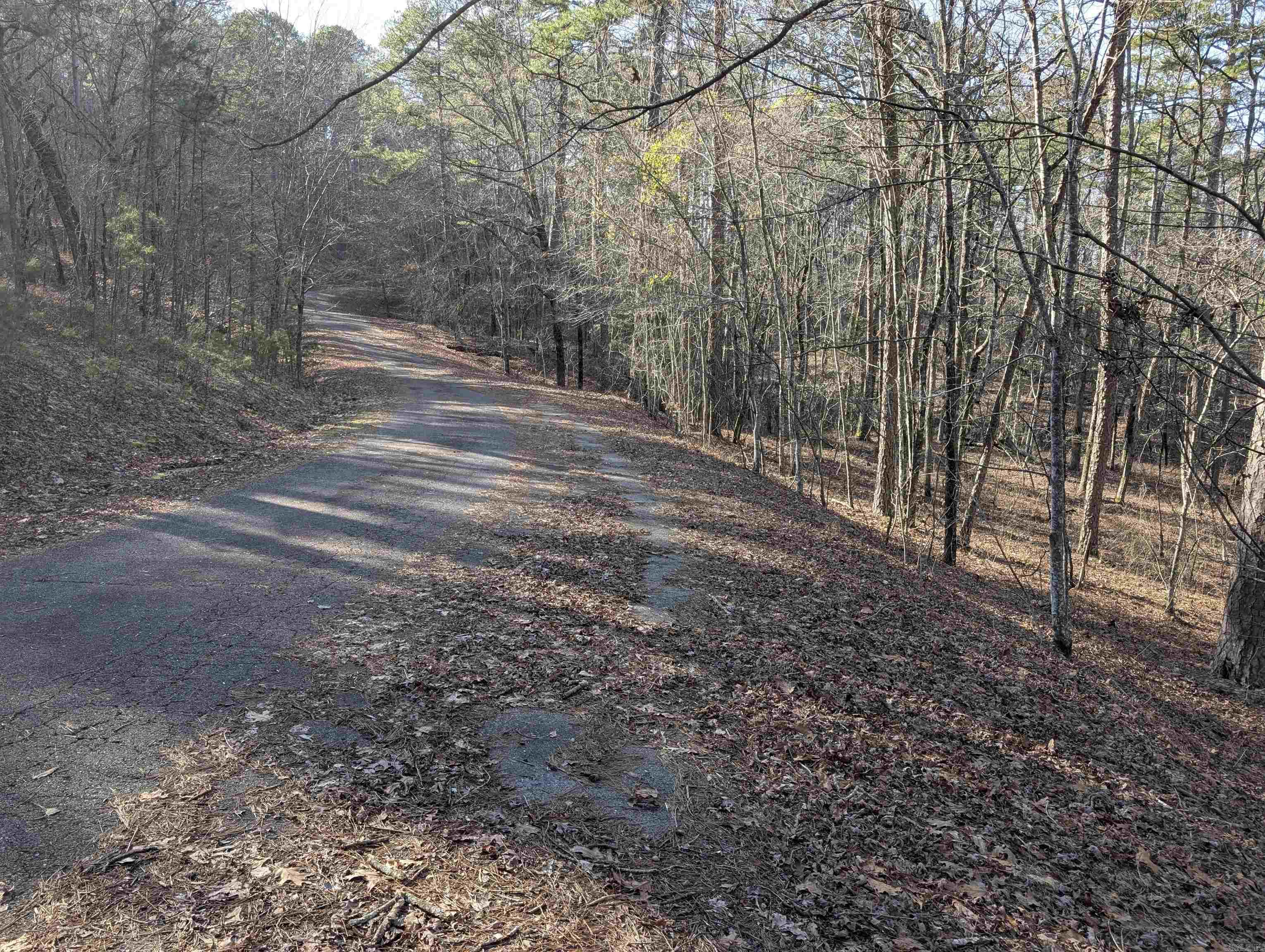 30  Montijo  Hot Springs Village, AR