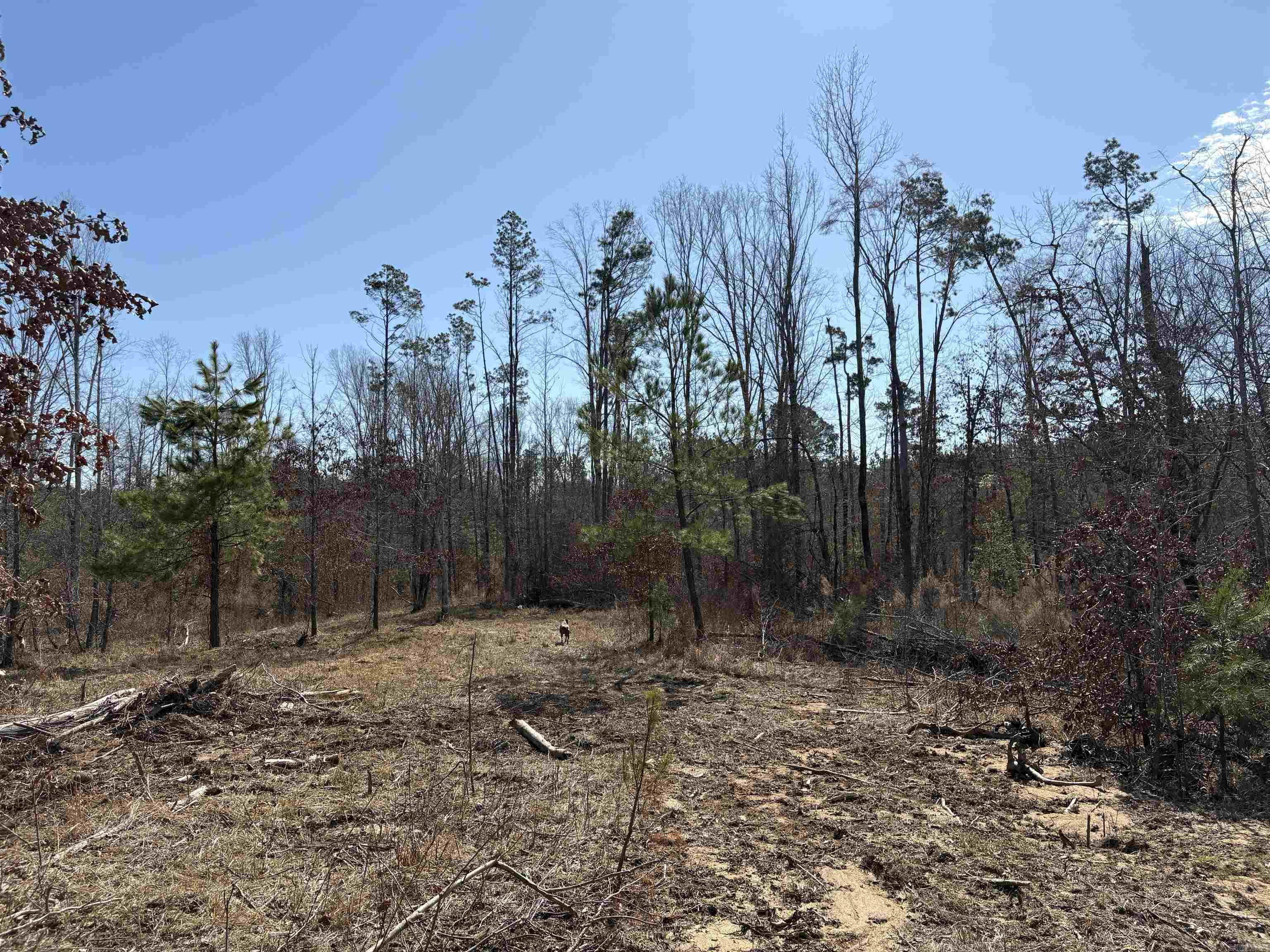 607  Grant County Rd 24  Grapevine, AR