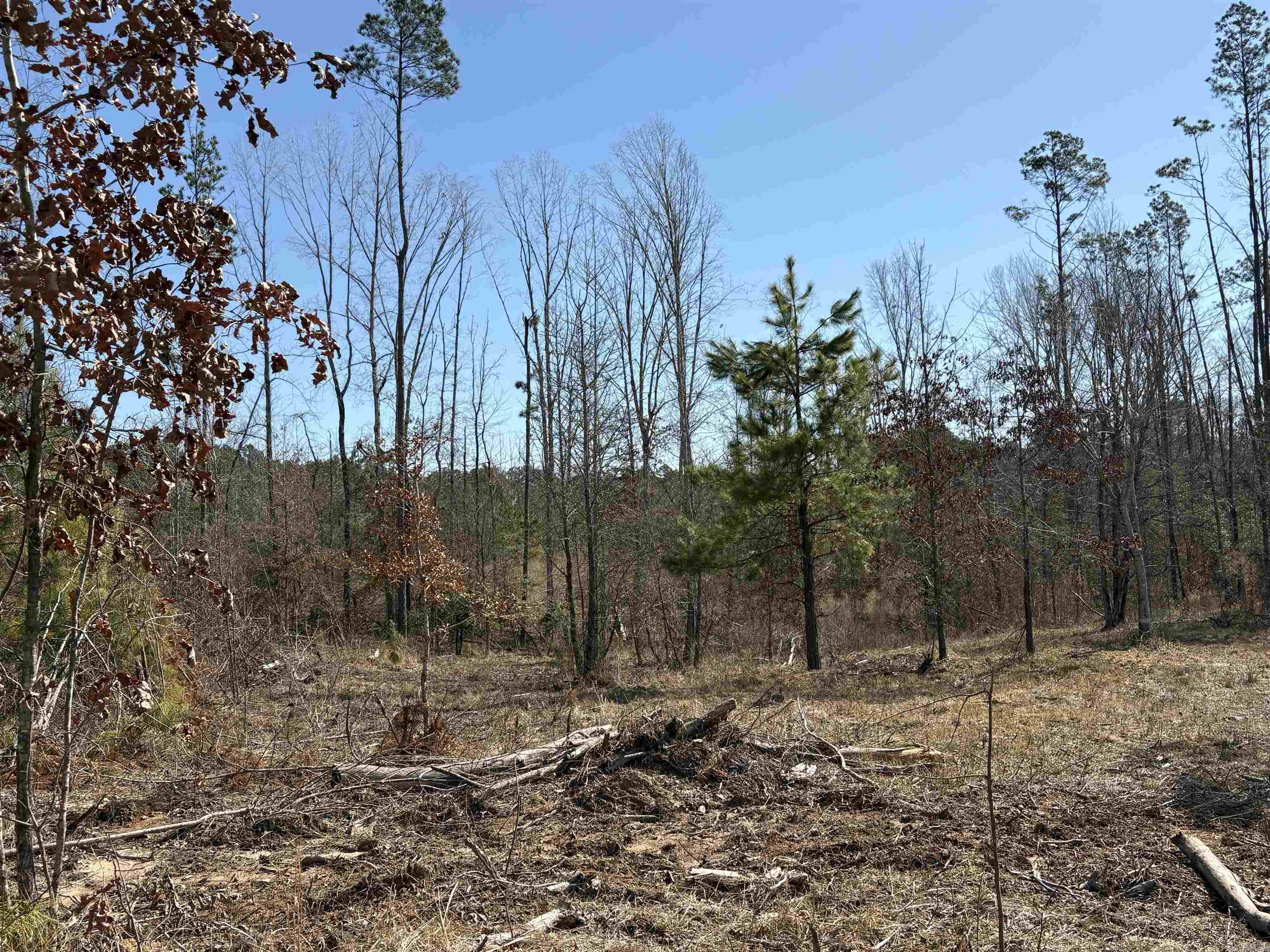 607  Grant County Rd 24  Grapevine, AR
