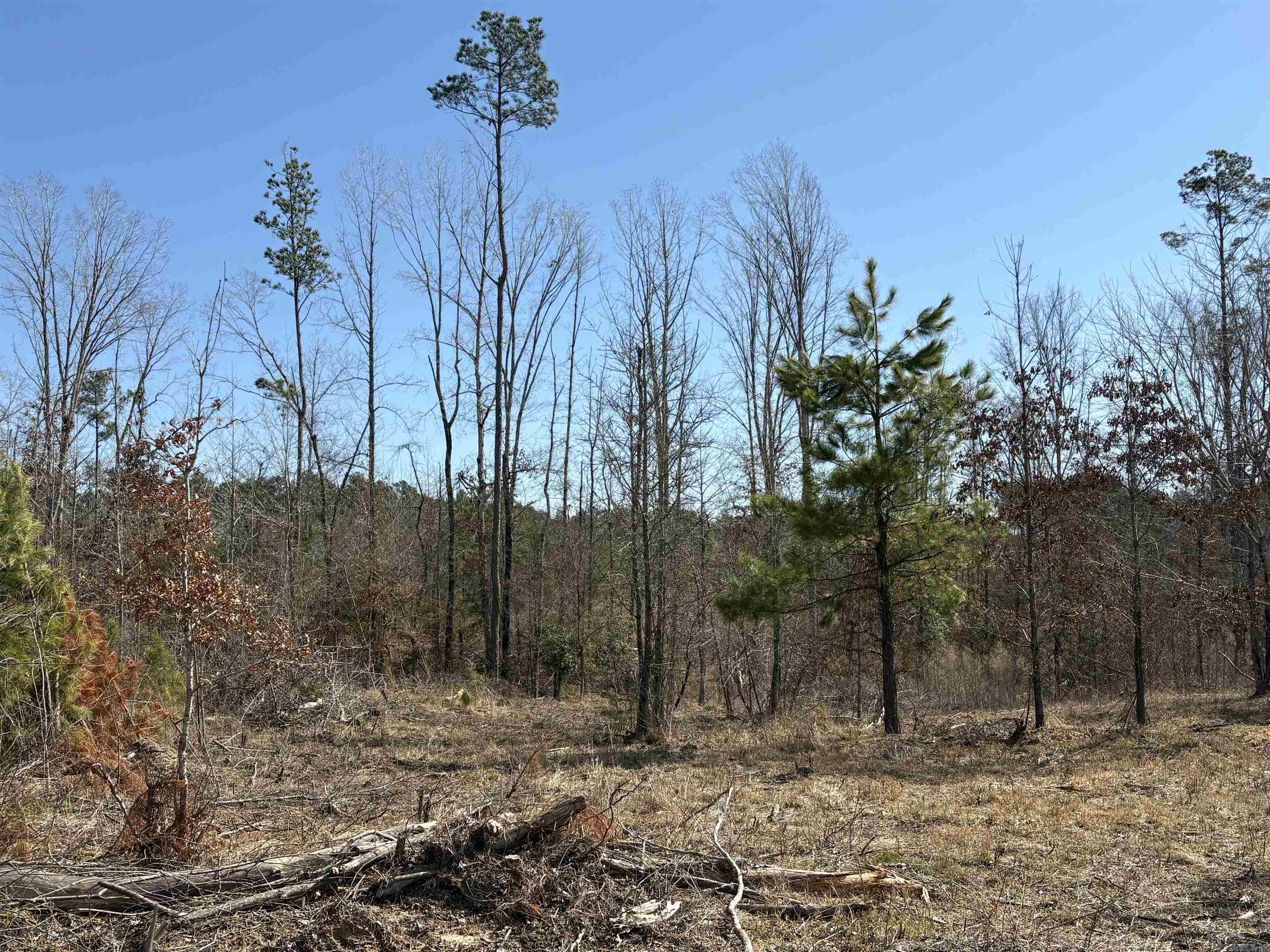 607  Grant County Rd 24  Grapevine, AR