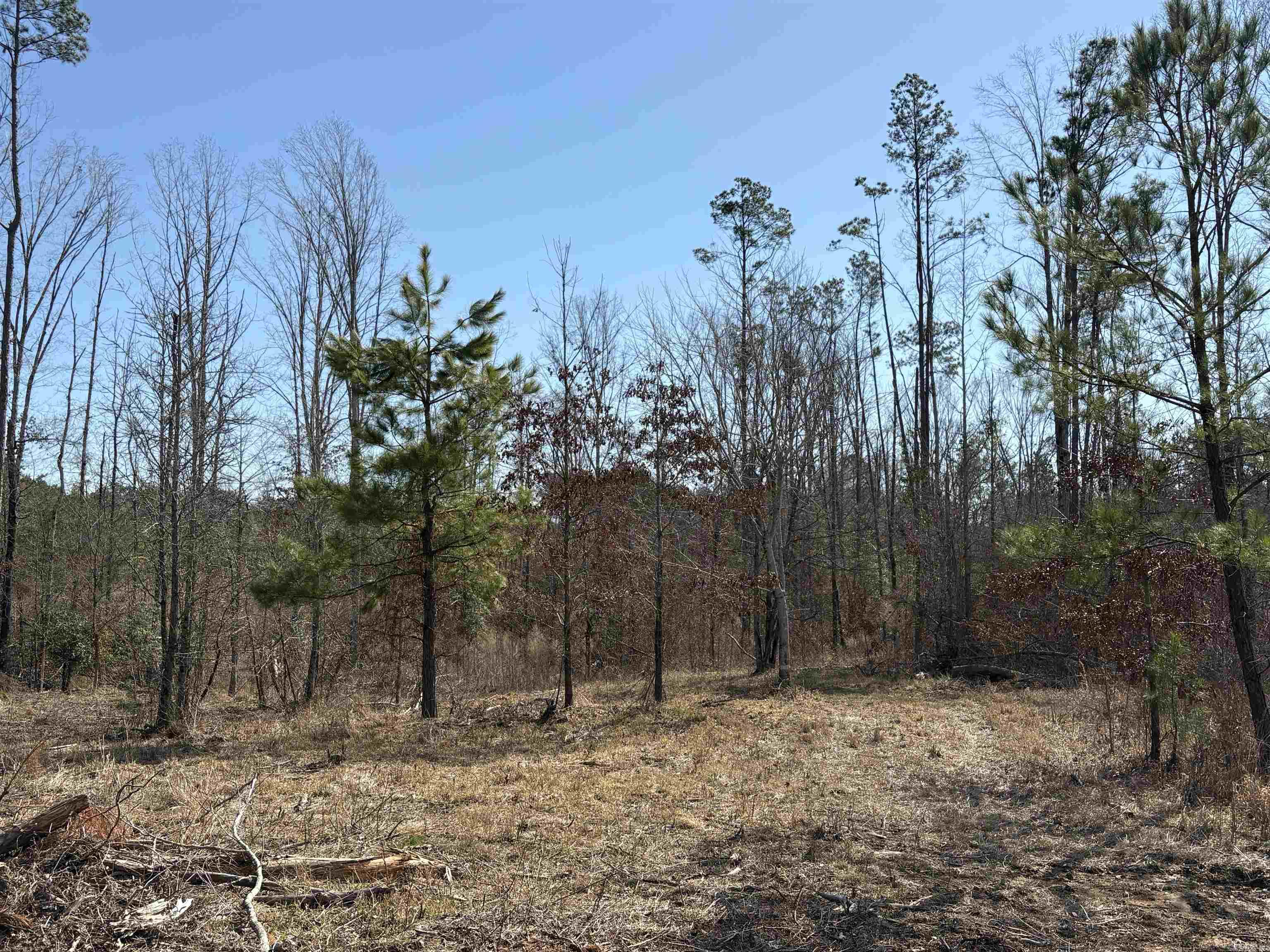 607  Grant County Rd 24  Grapevine, AR