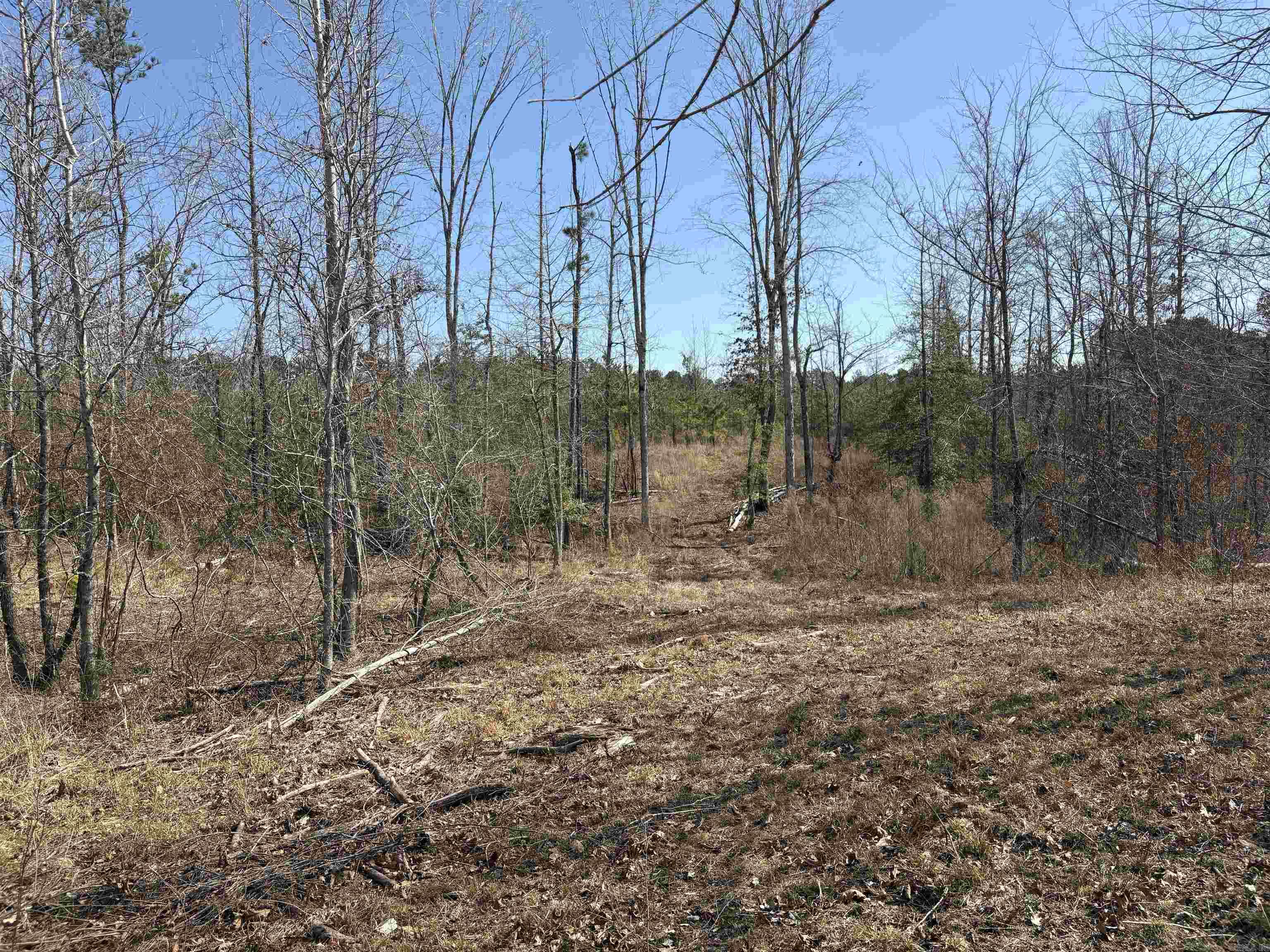 607  Grant County Rd 24  Grapevine, AR