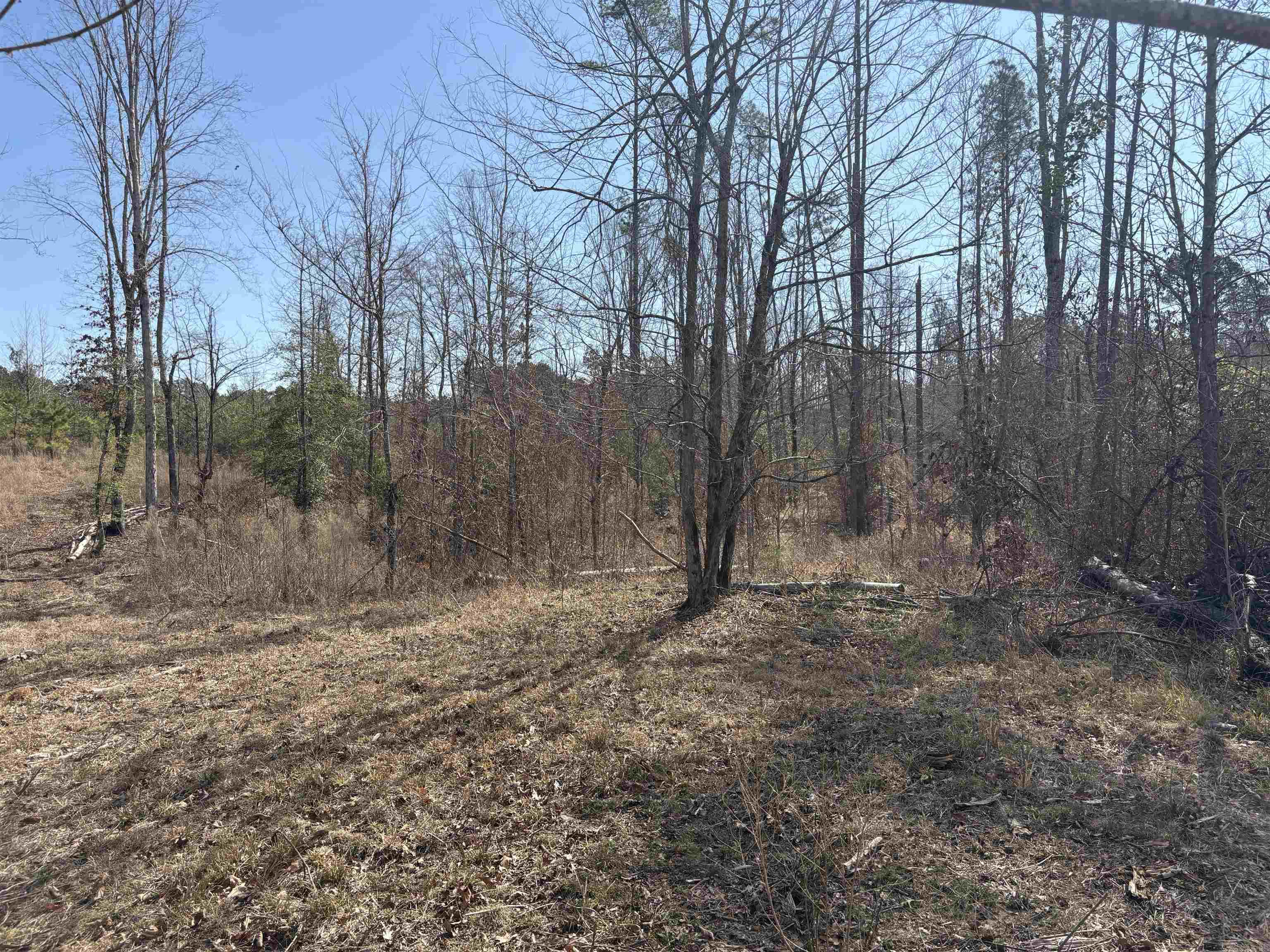 607  Grant County Rd 24  Grapevine, AR