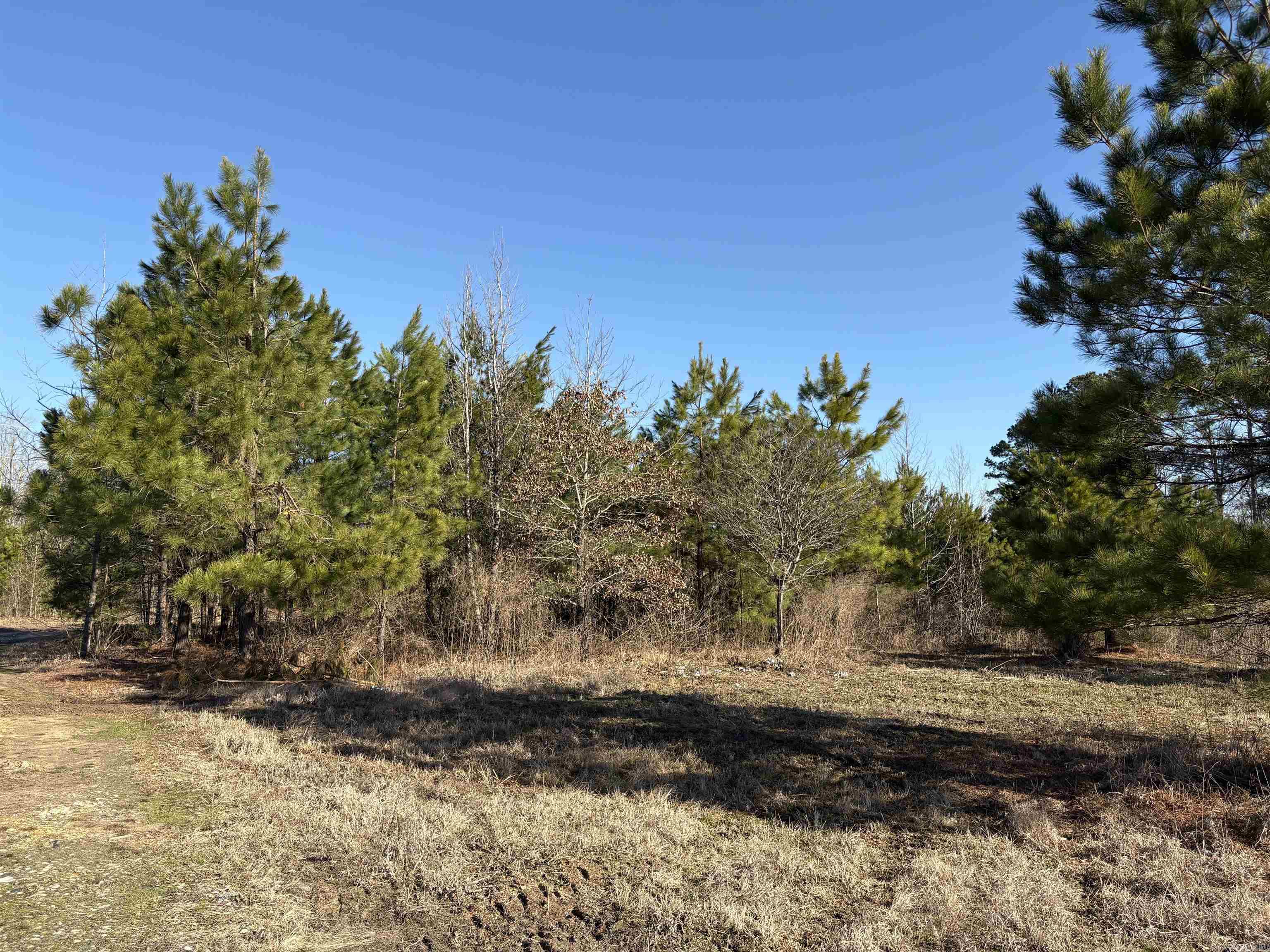 607  Grant County Rd 24  Grapevine, AR