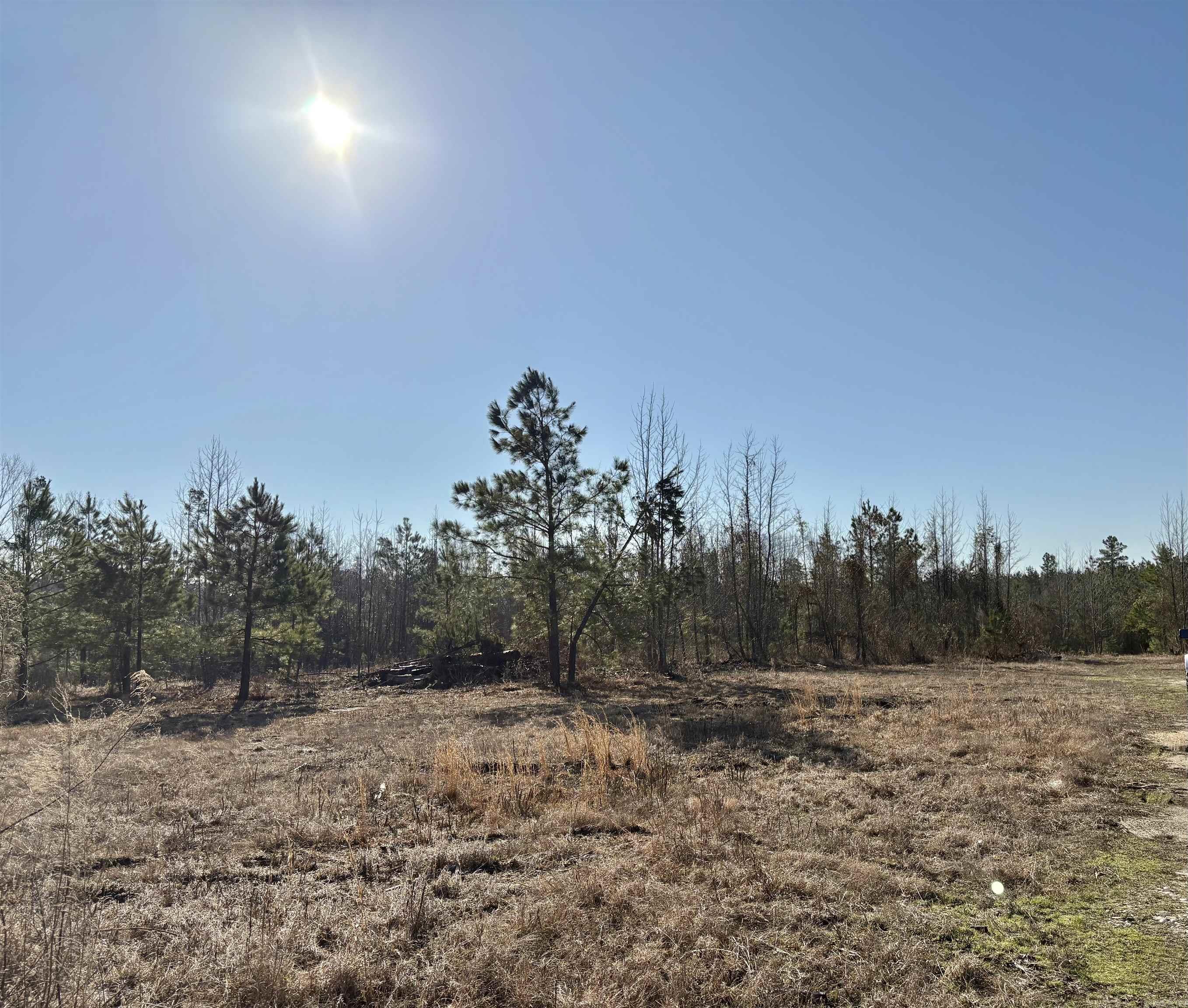 607  Grant County Rd 24  Grapevine, AR