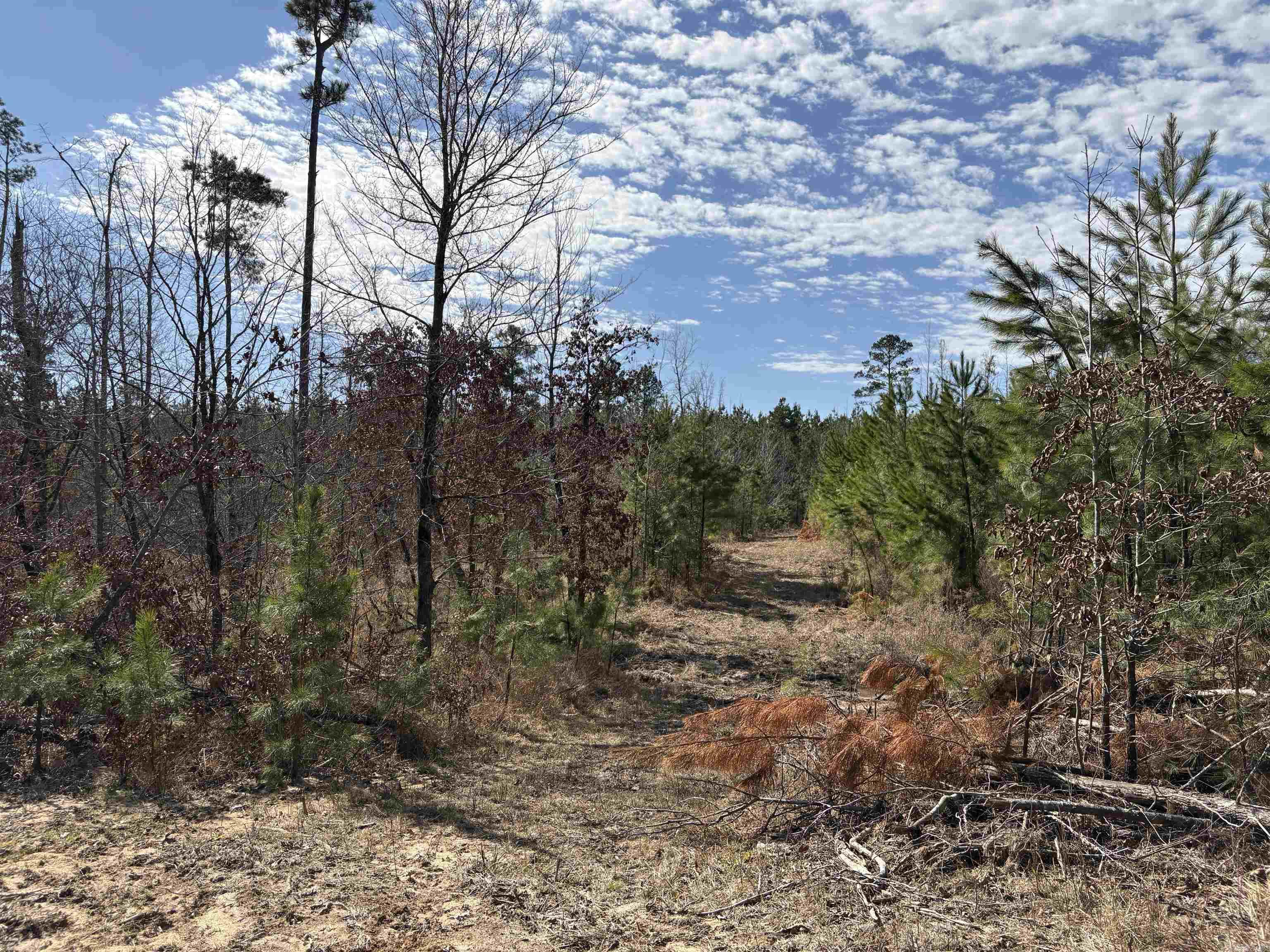 607  Grant County Rd 24  Grapevine, AR