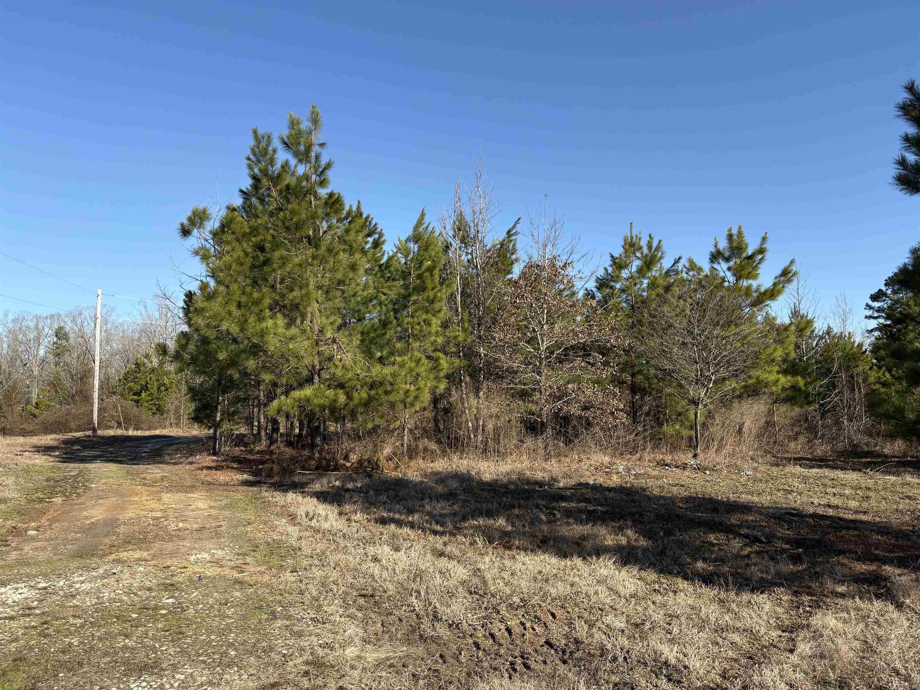 607  Grant County Rd 24  Grapevine, AR