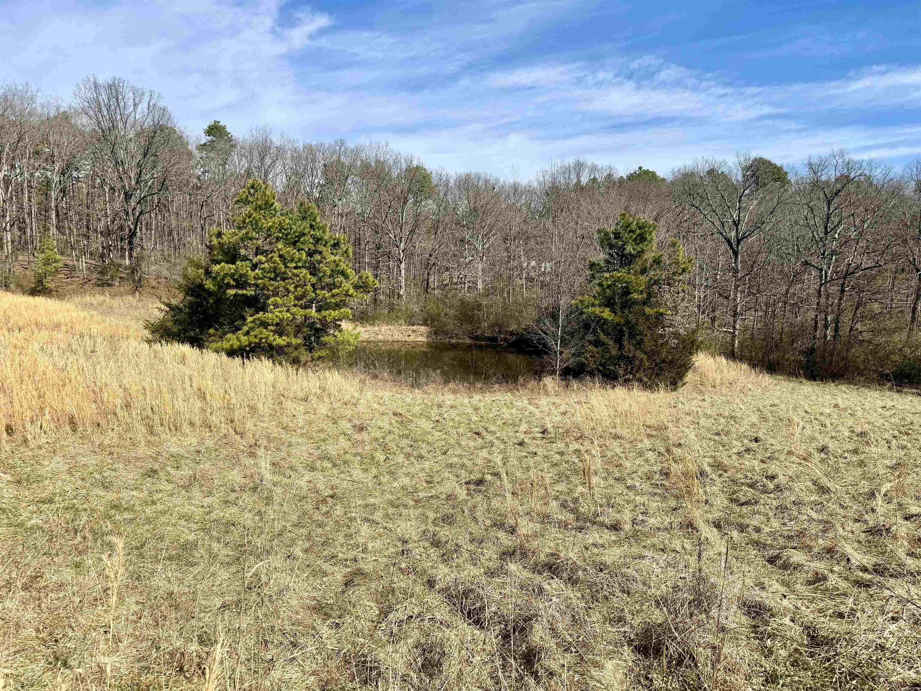 102 Mountain Top Road  Mountain View, AR