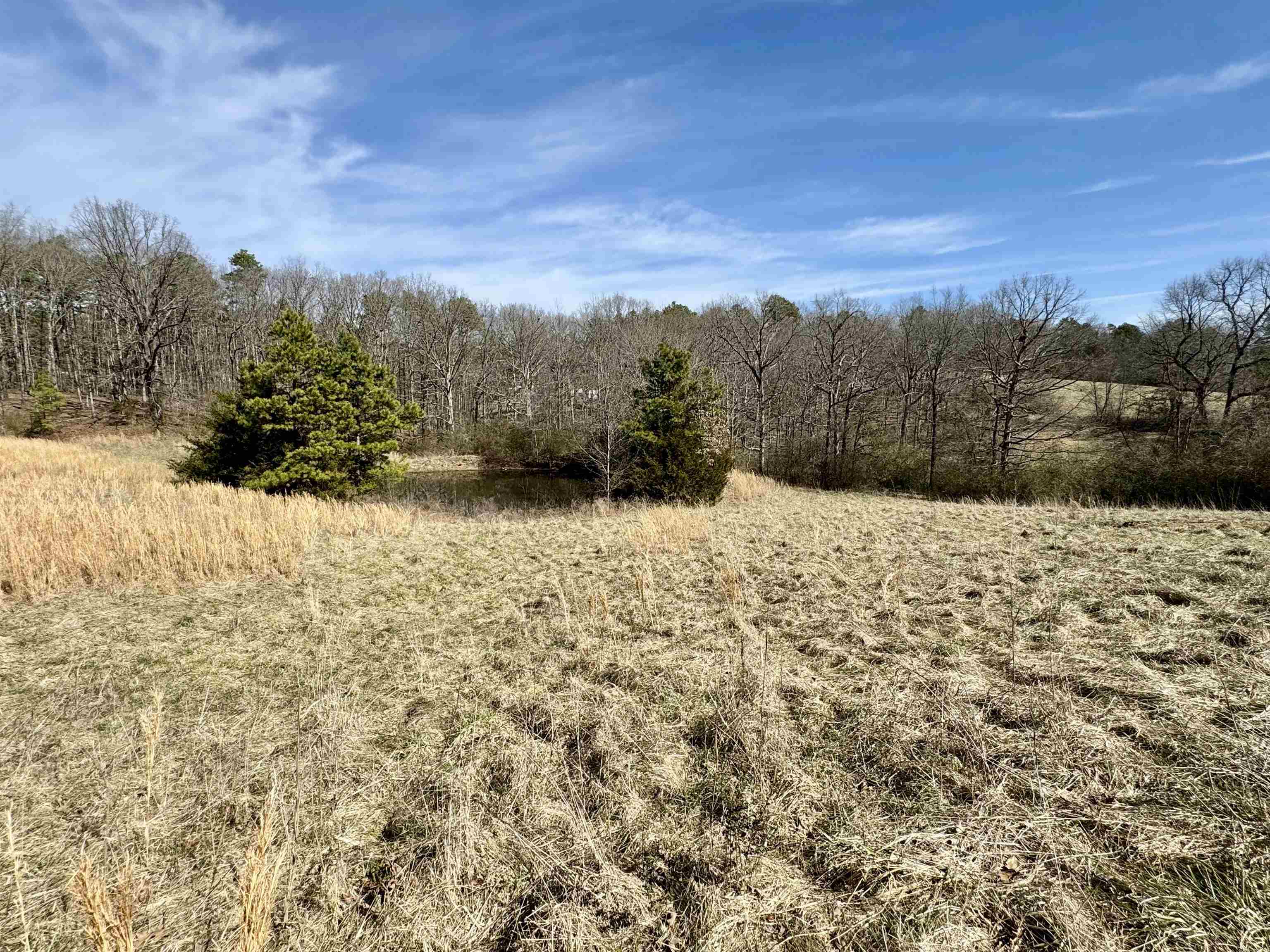 102 Mountain Top Road  Mountain View, AR