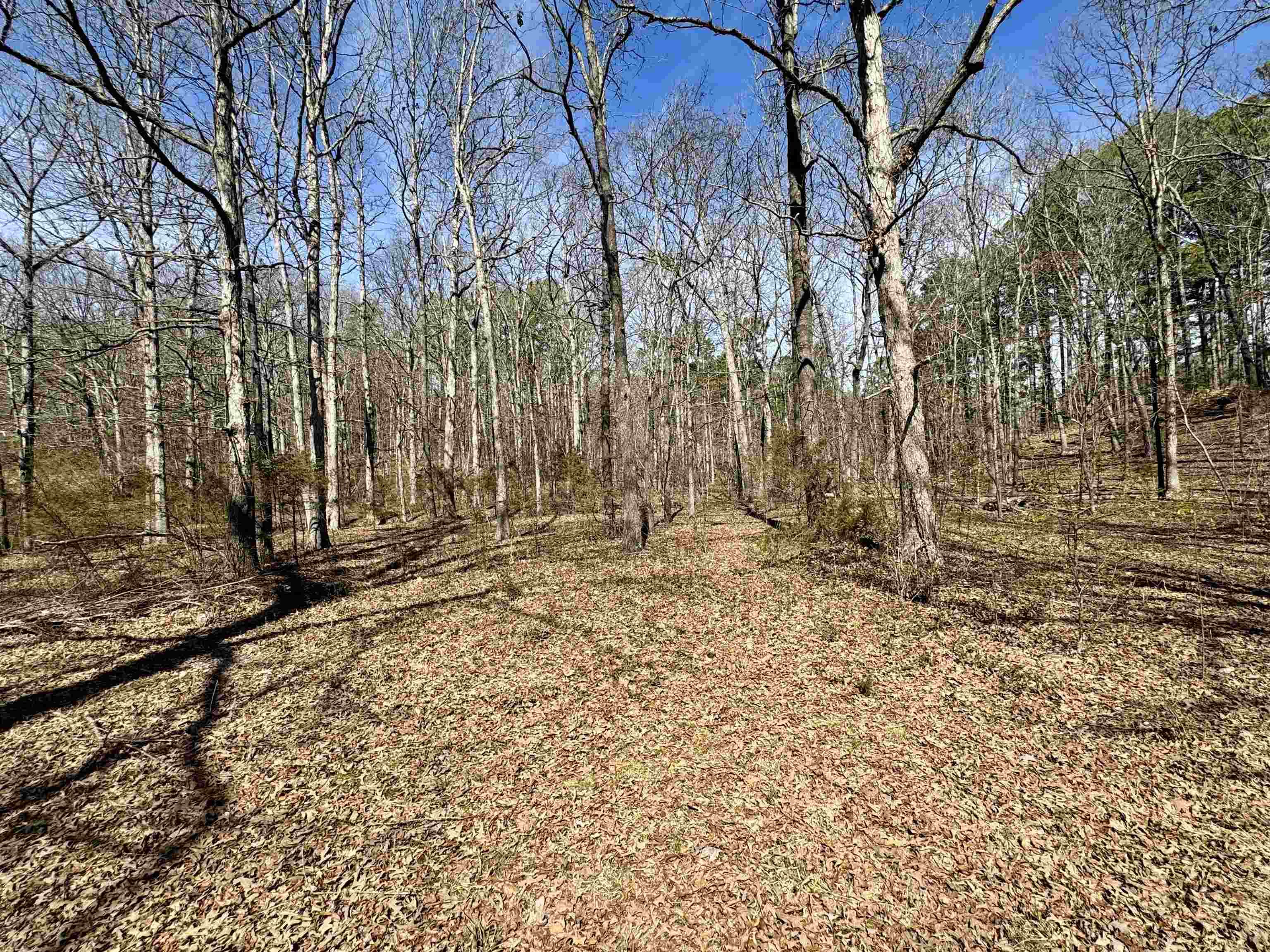 102 Mountain Top Road  Mountain View, AR