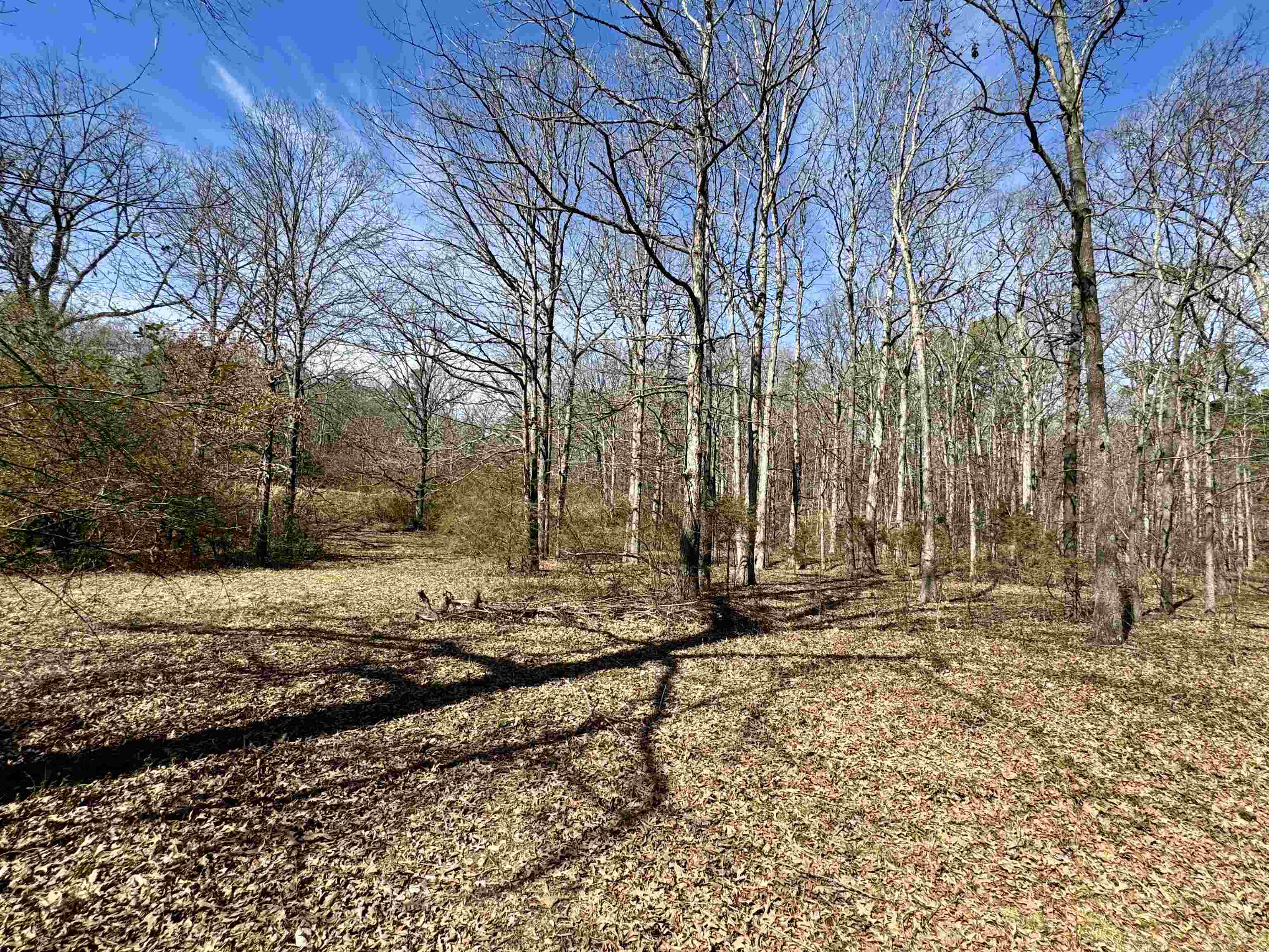 102 Mountain Top Road  Mountain View, AR