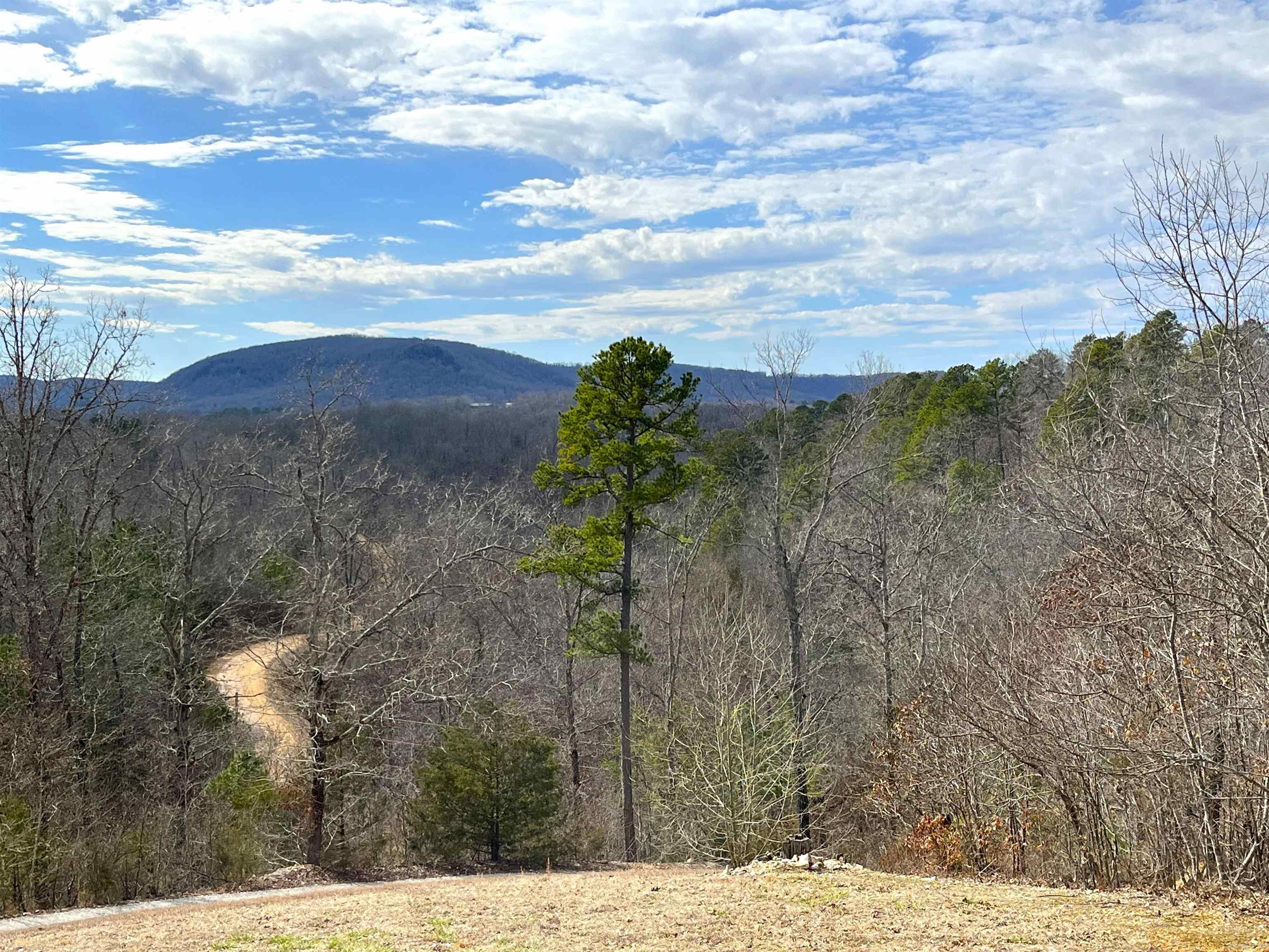 125  Monroe  Mountain View, AR