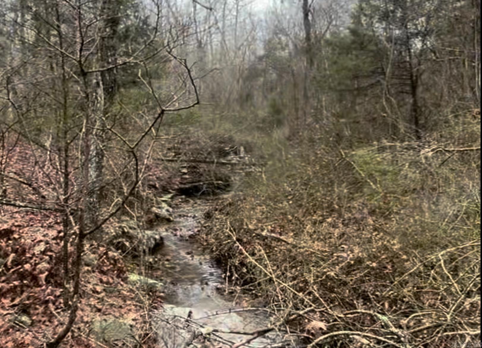 000  Sunny Fox Road  Mountain View, AR