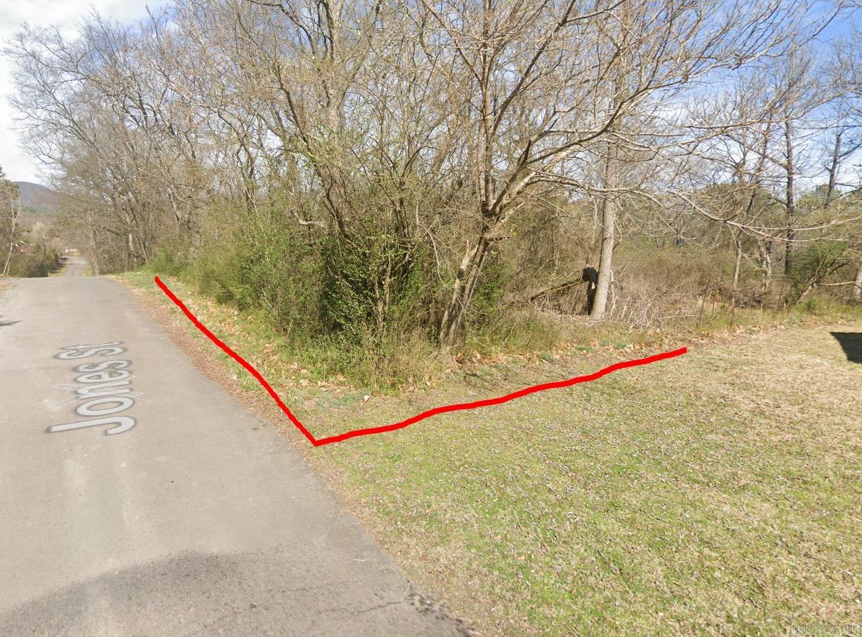 307  jones  Mena, AR