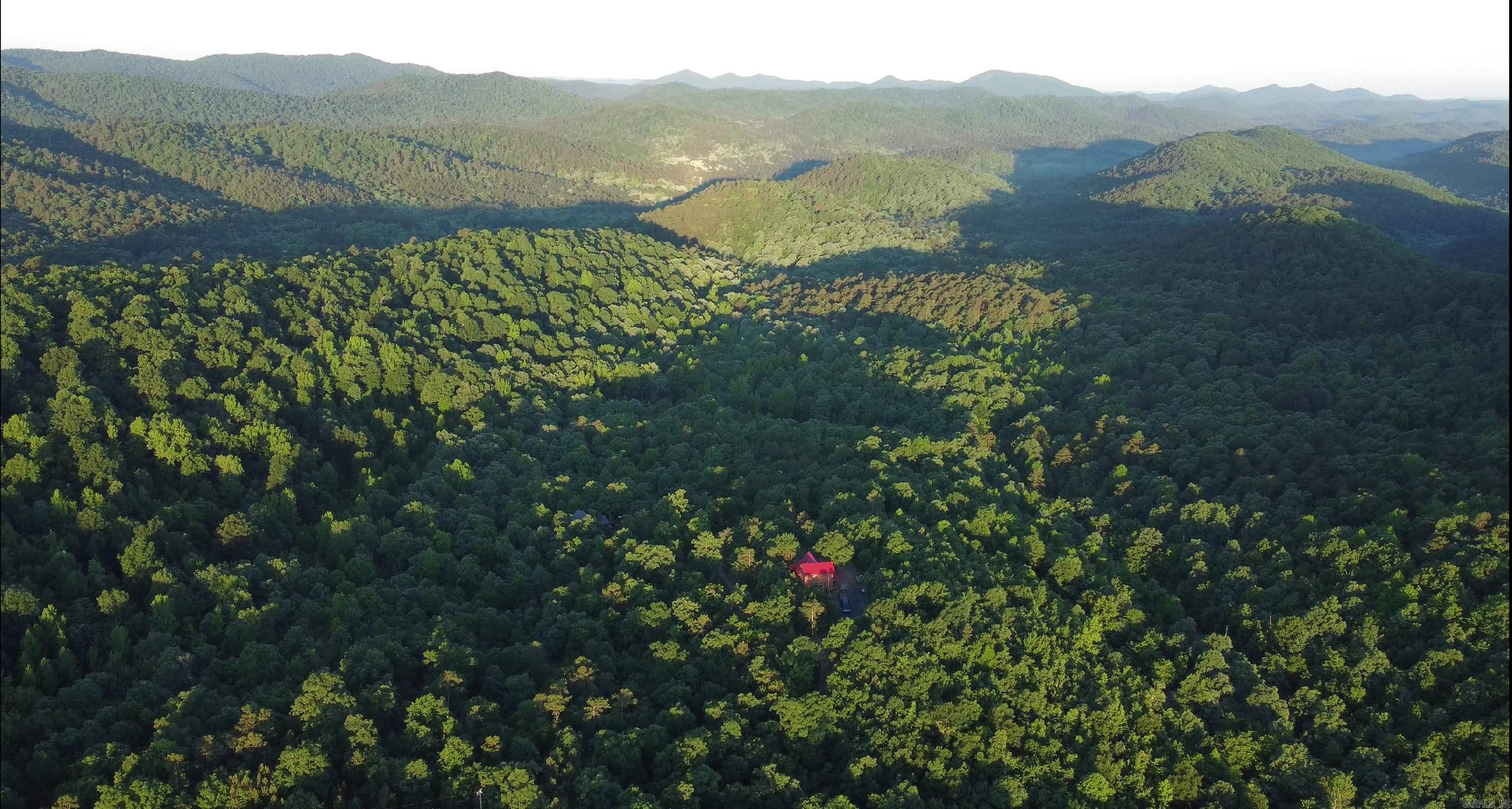 383A  Massey Lane  Mena, AR