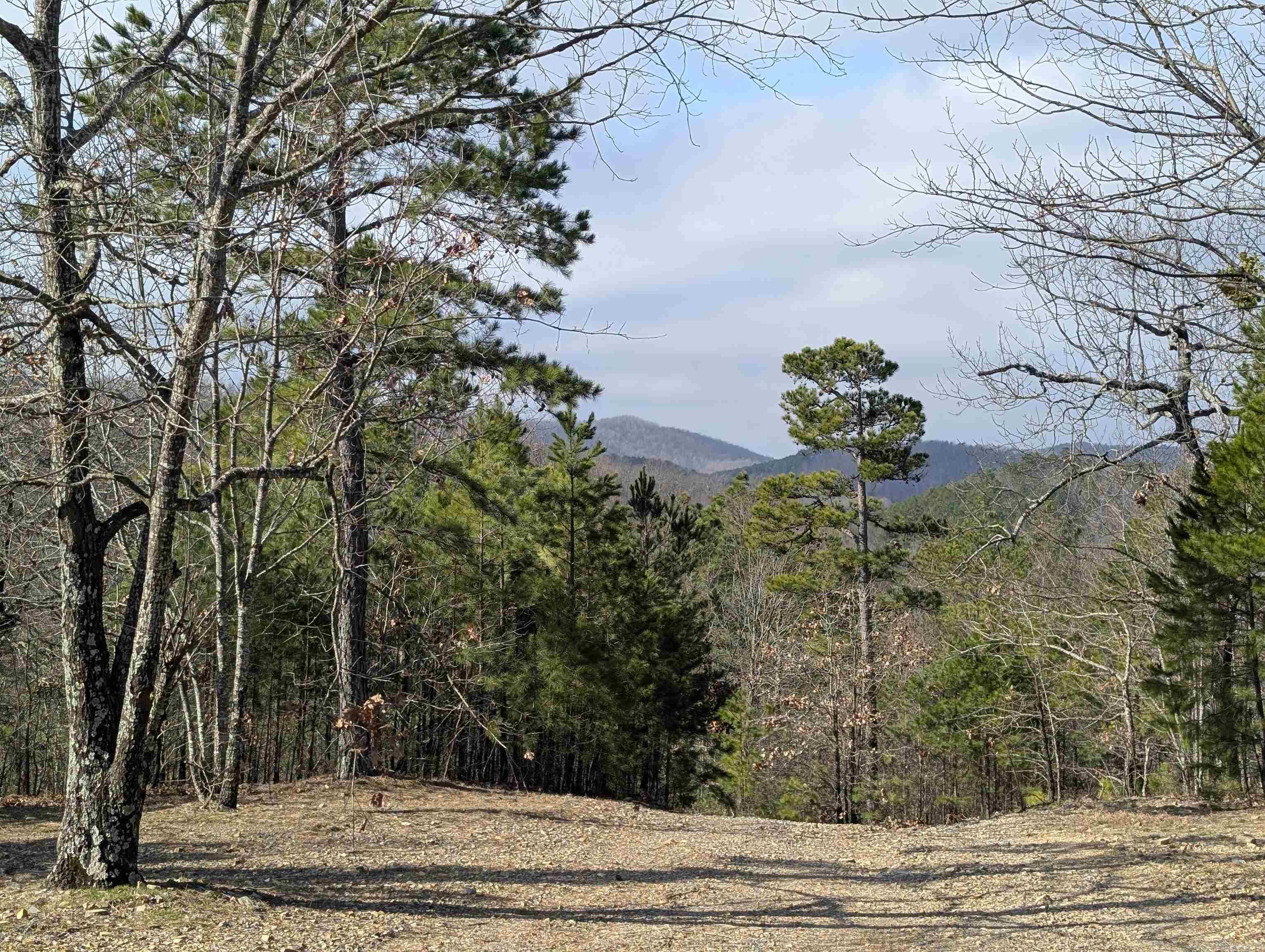 383A  Massey Lane  Mena, AR