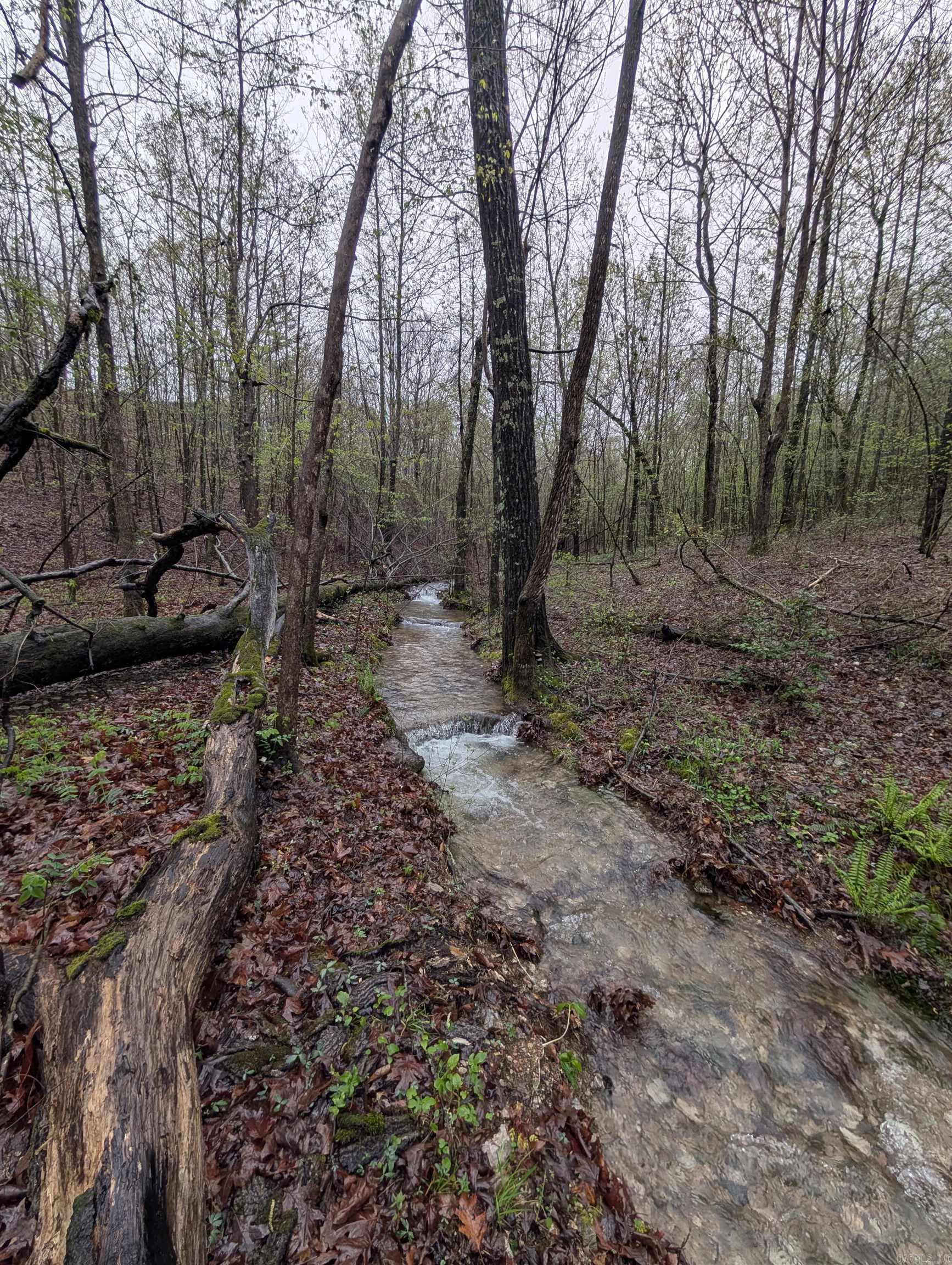 383A  Massey Lane  Mena, AR