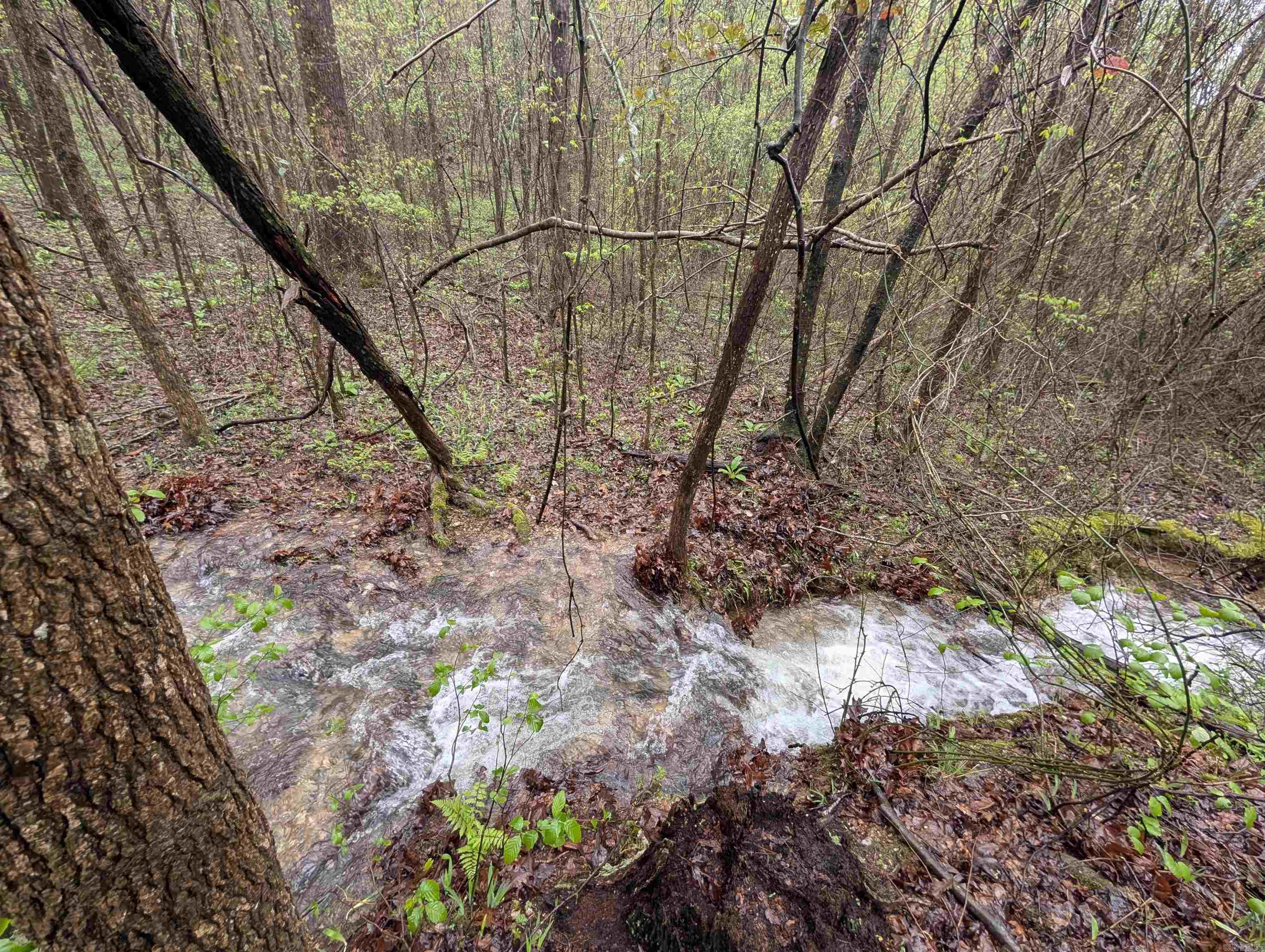 383B  Massey Lane  Mena, AR
