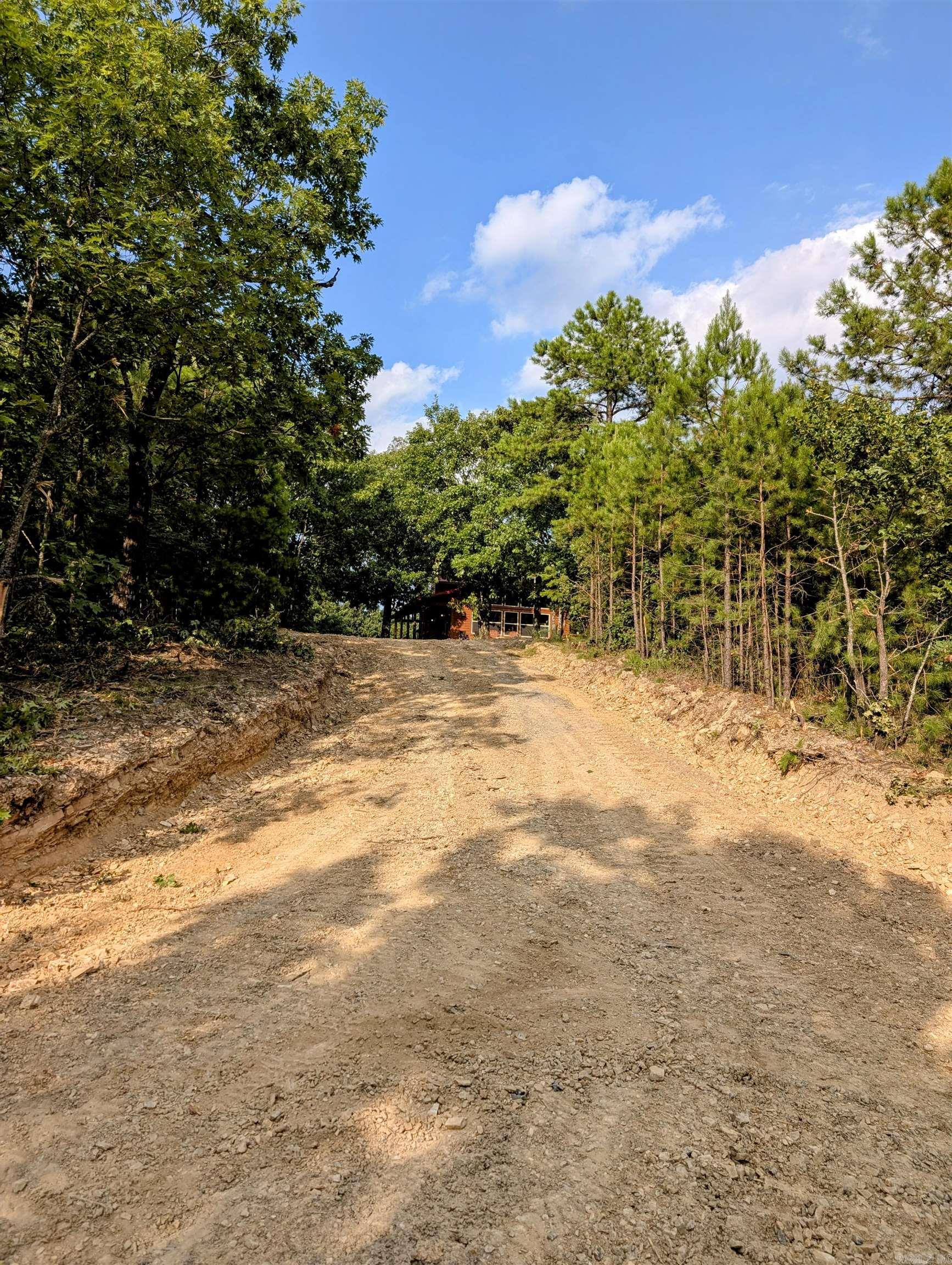 383B Massey Lane Mena, AR 71953