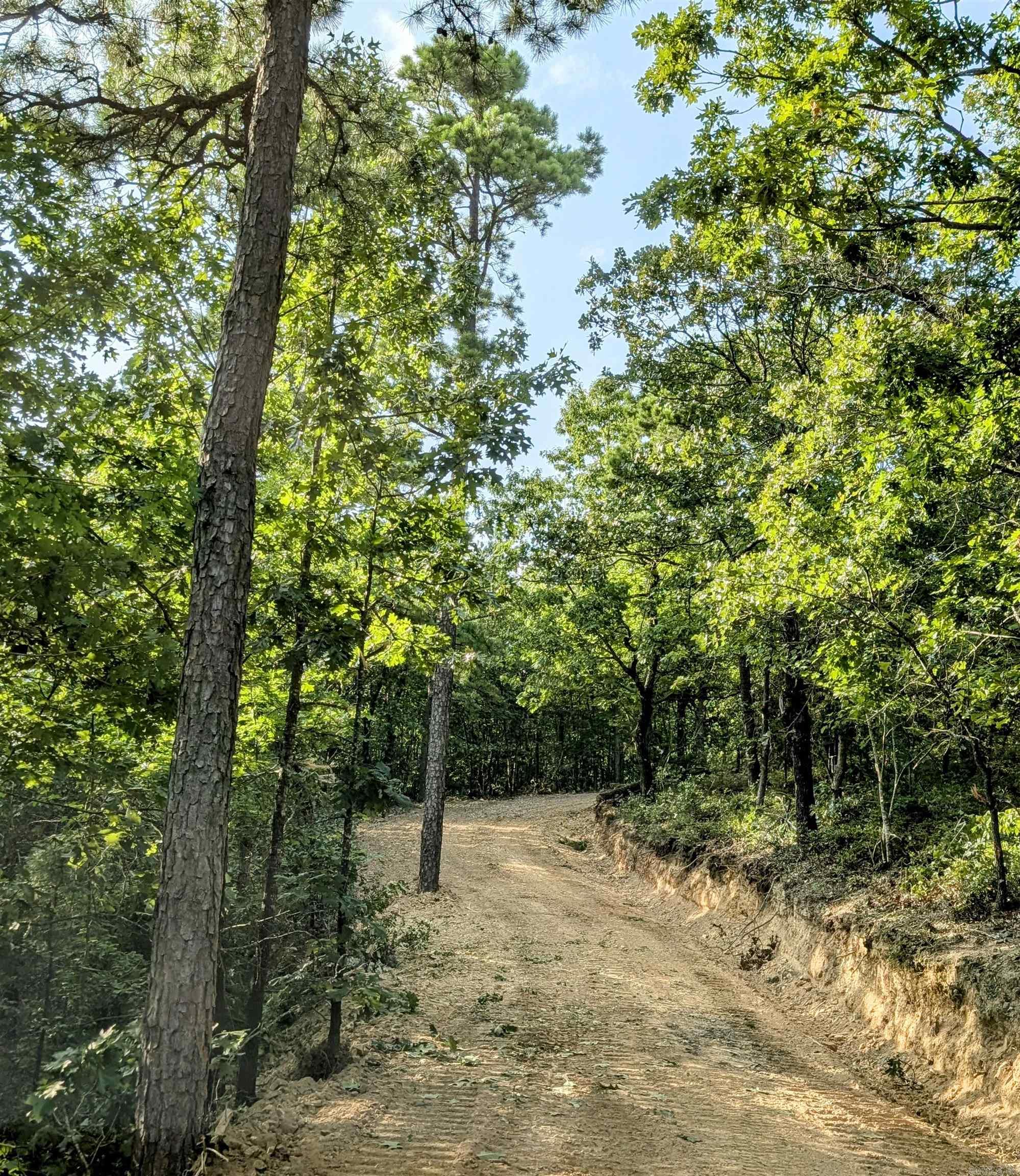 383B Massey Lane Mena, AR 71953